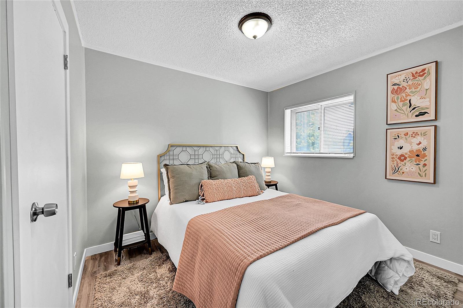 MLS Image #7 for 3725  mariposa street,denver, Colorado