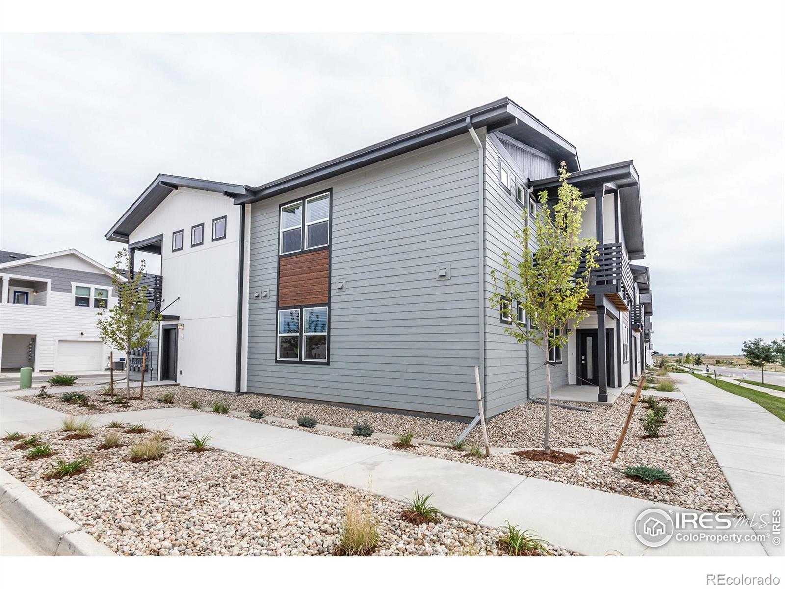 MLS Image #5 for 2120  falling leaf drive,windsor, Colorado