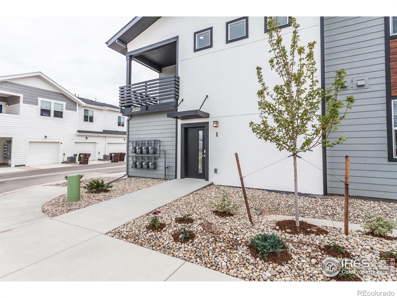 MLS Image #6 for 2120  falling leaf drive,windsor, Colorado