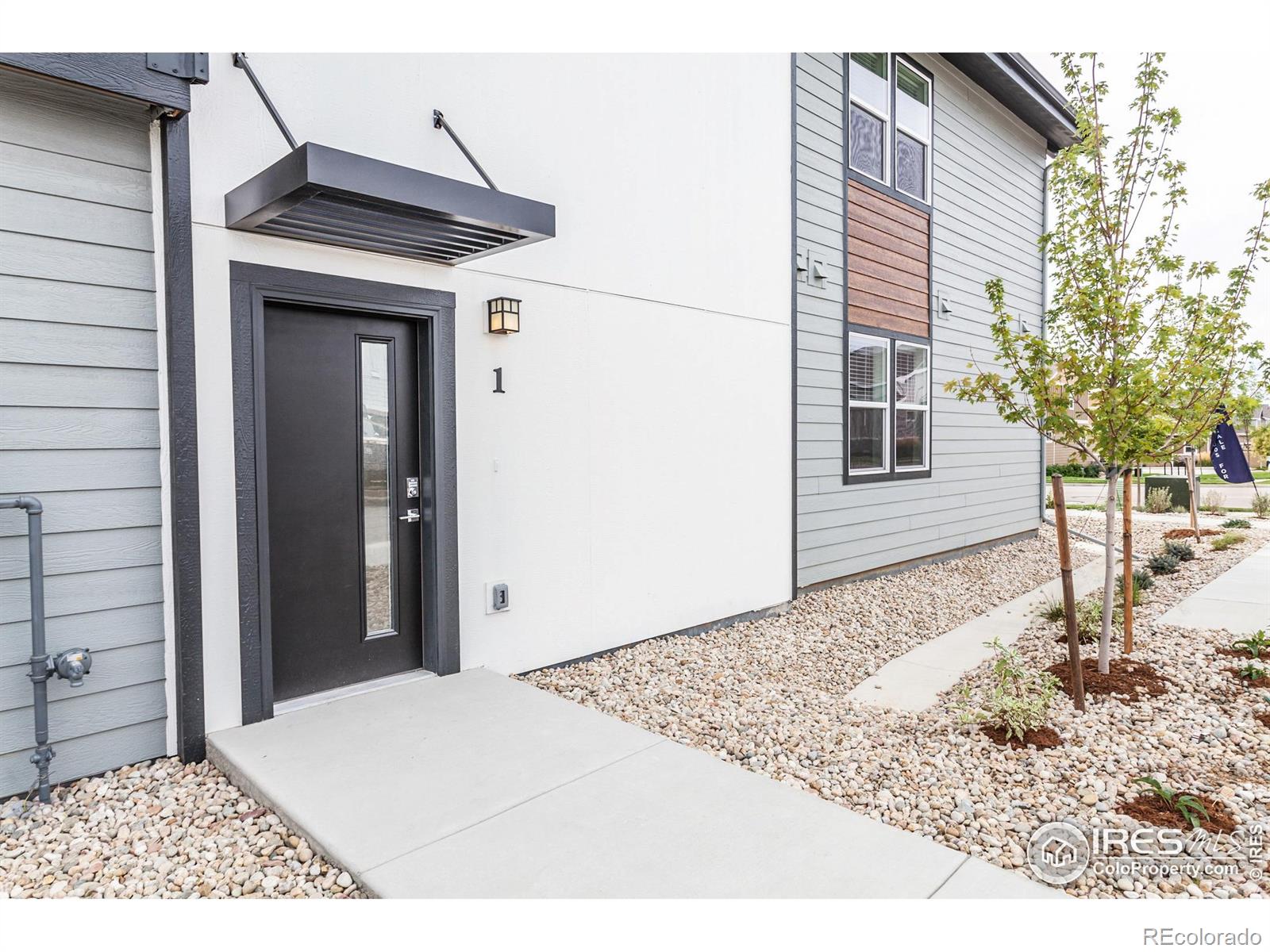MLS Image #7 for 2120  falling leaf drive,windsor, Colorado