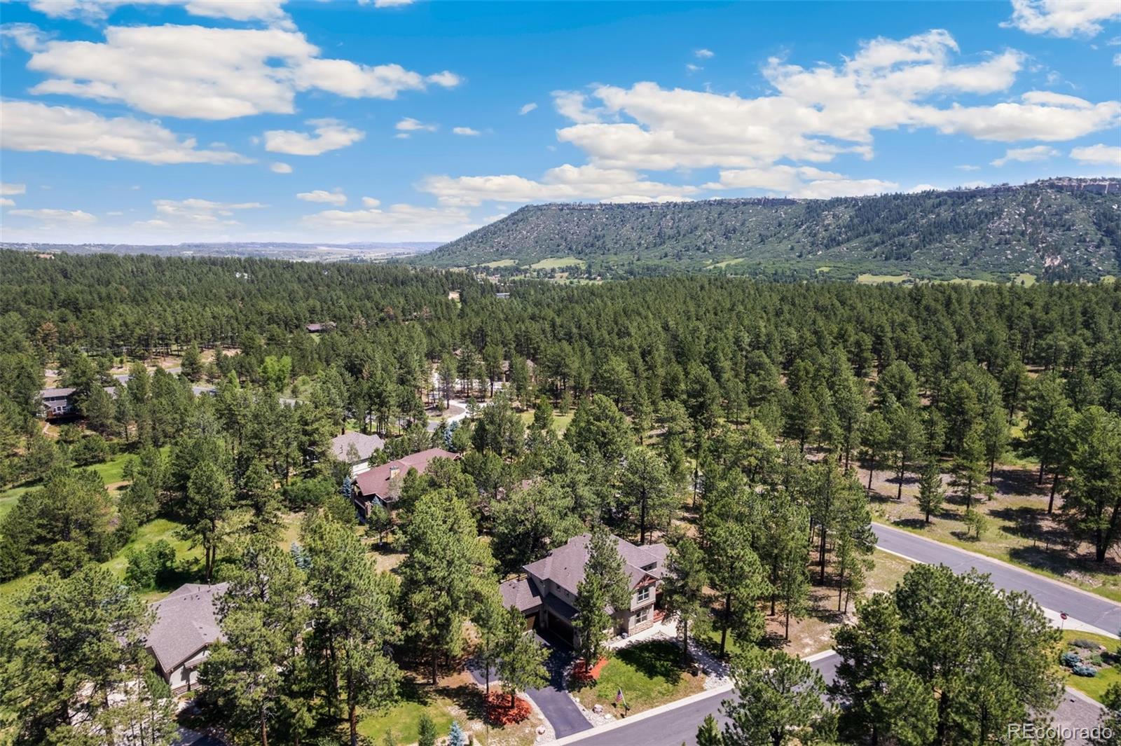 MLS Image #4 for 7737  taylor circle,larkspur, Colorado