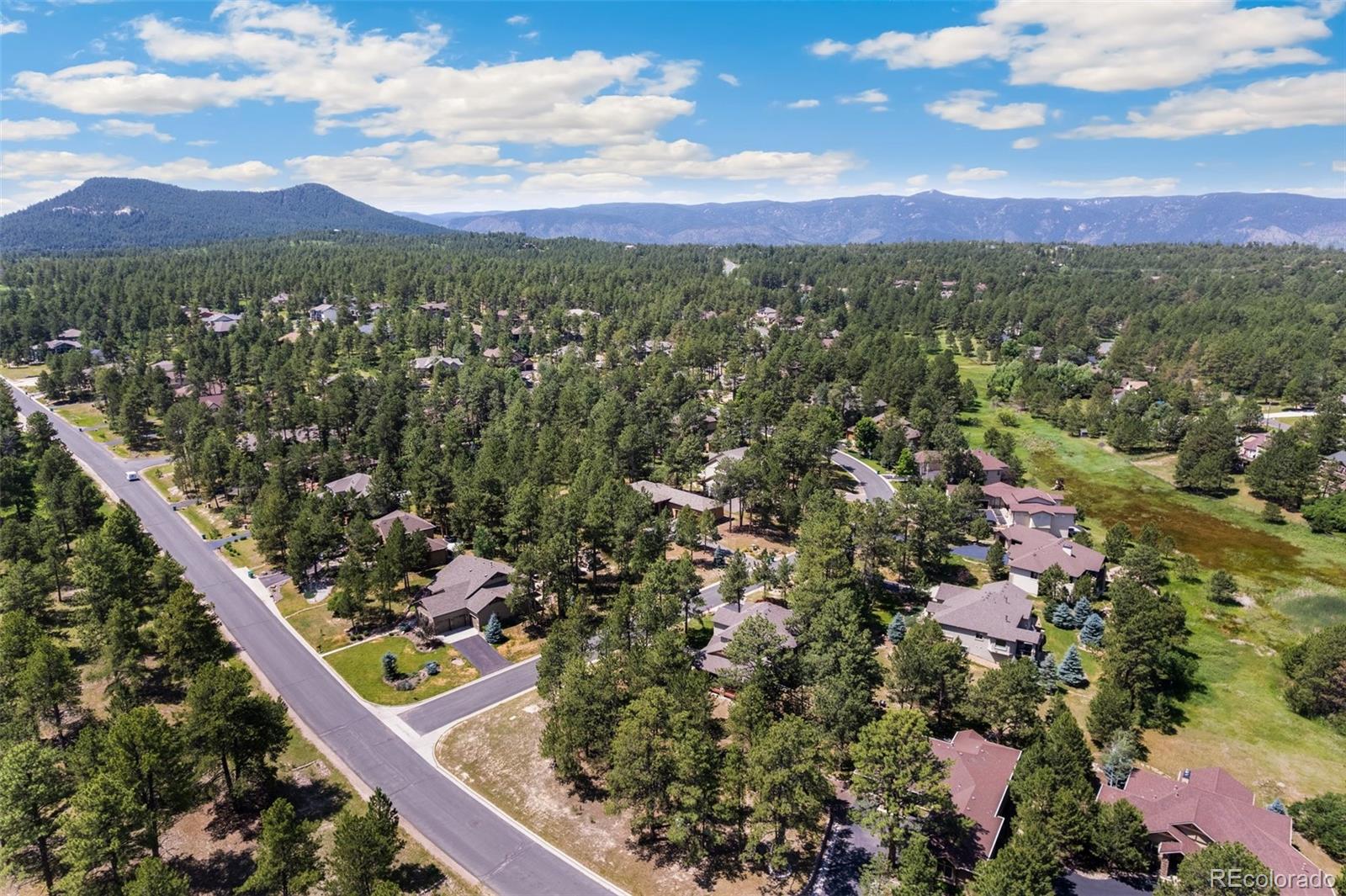 MLS Image #5 for 7737  taylor circle,larkspur, Colorado