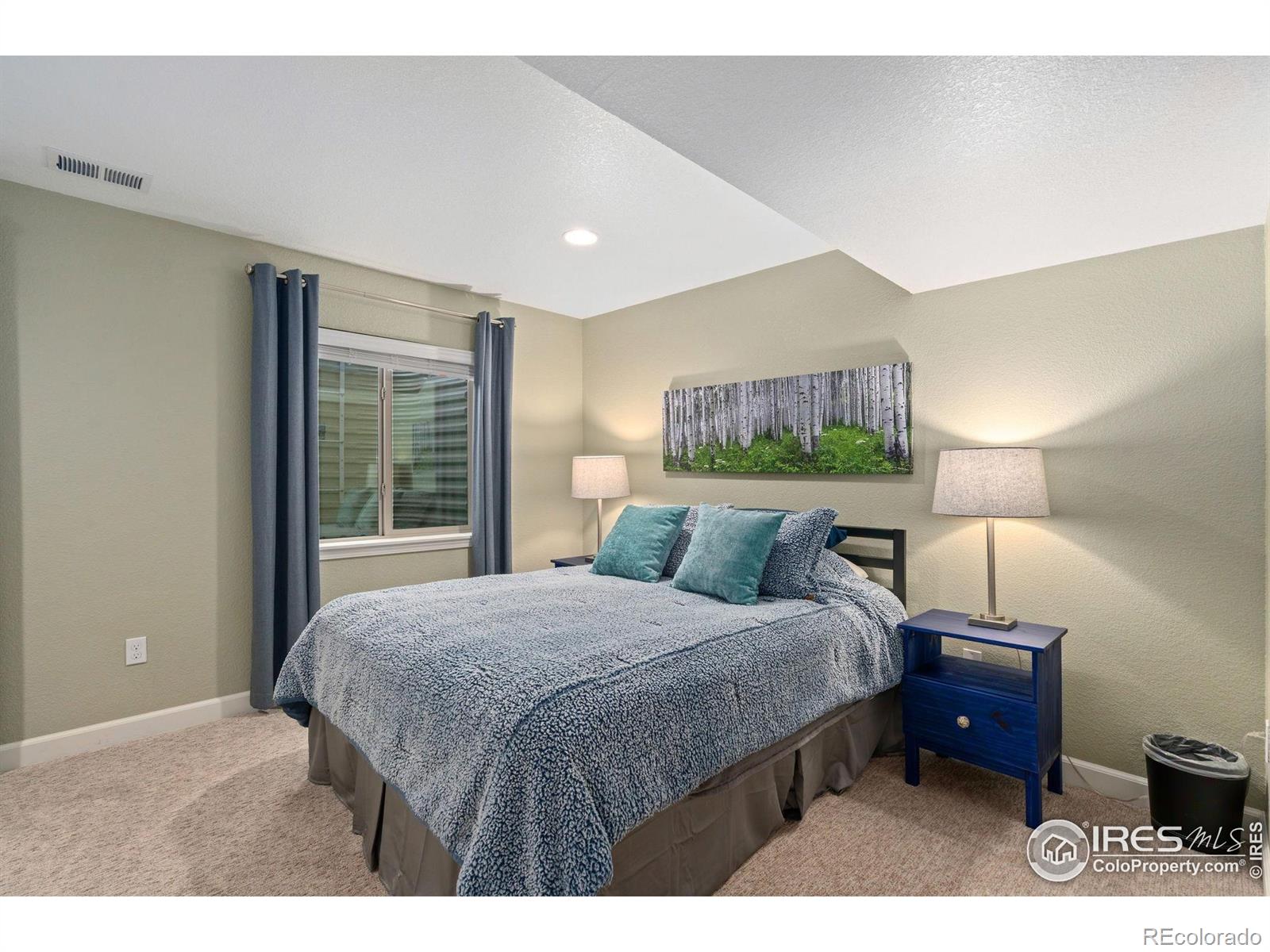 MLS Image #28 for 6604  neota creek court,timnath, Colorado