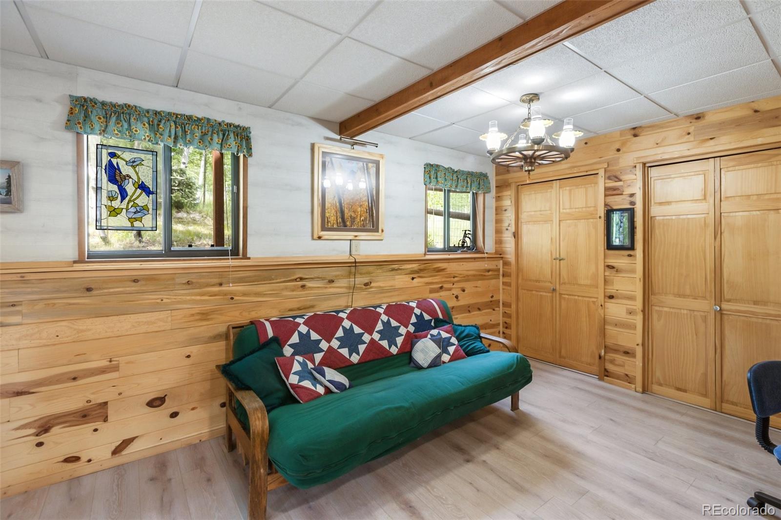 MLS Image #10 for 215  valley drive,lake george, Colorado