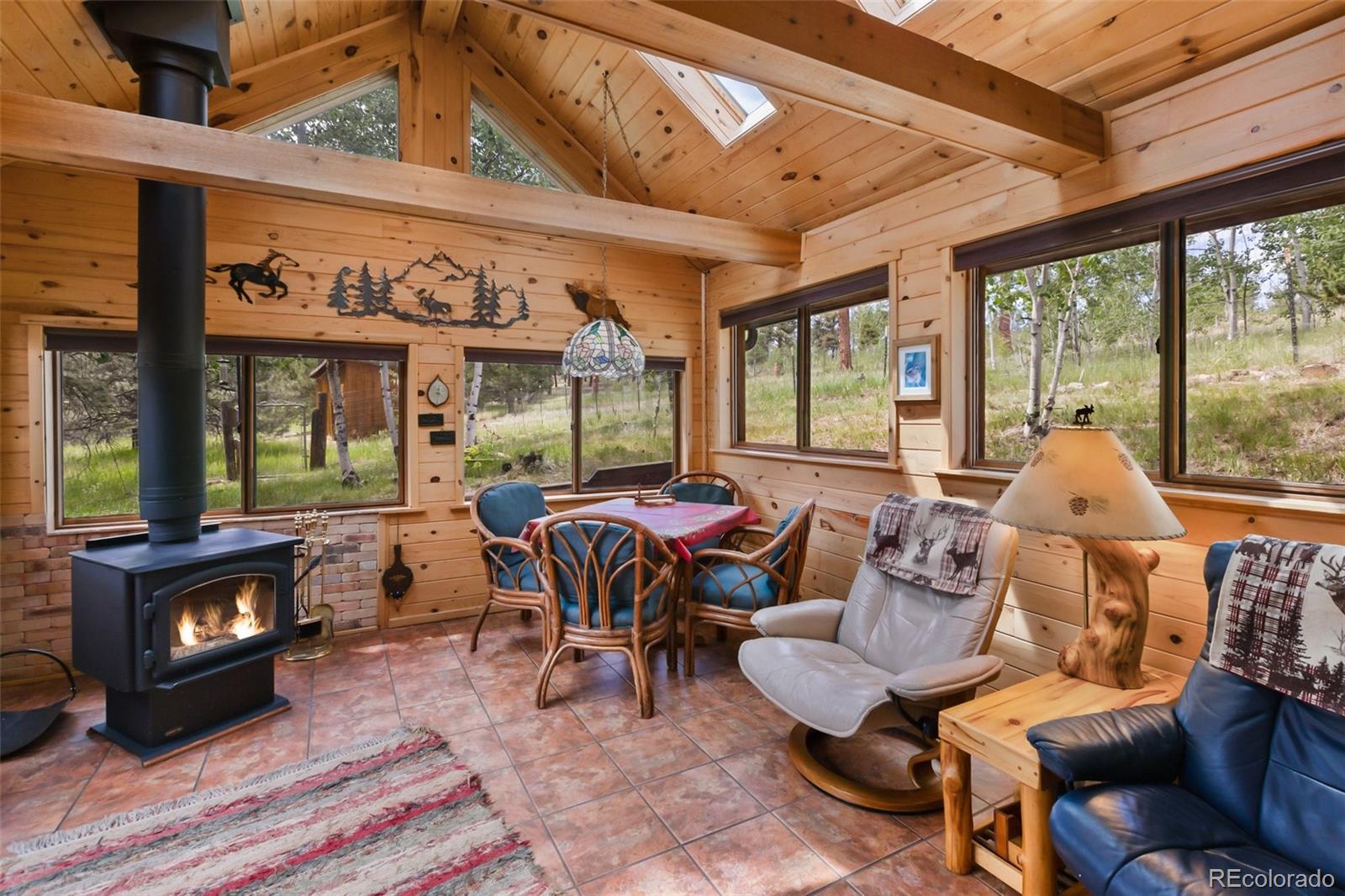 MLS Image #13 for 215  valley drive,lake george, Colorado