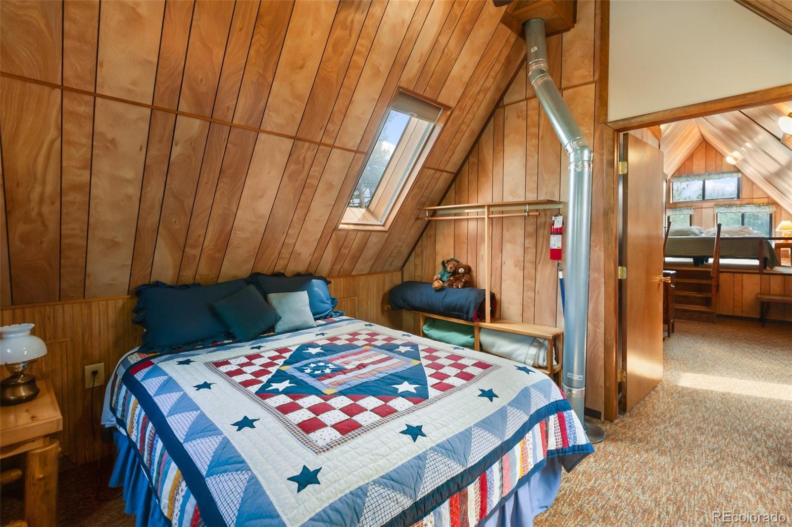 MLS Image #15 for 215  valley drive,lake george, Colorado