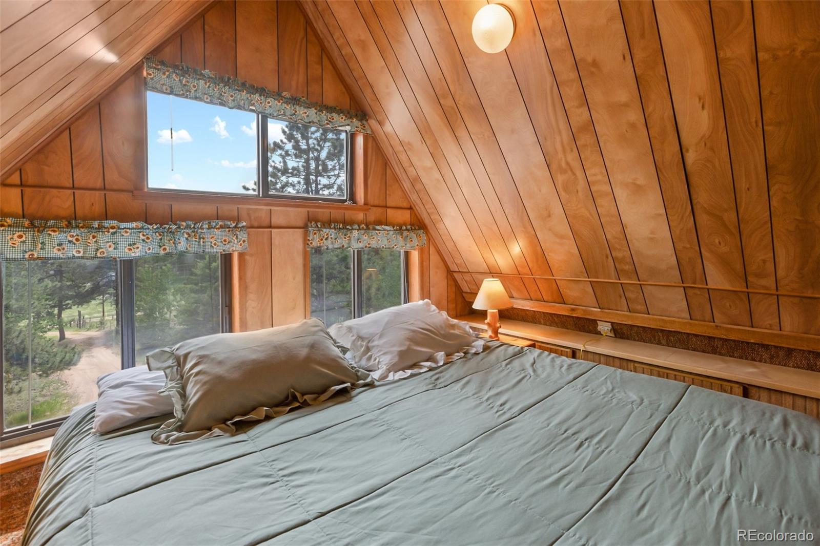MLS Image #19 for 215  valley drive,lake george, Colorado