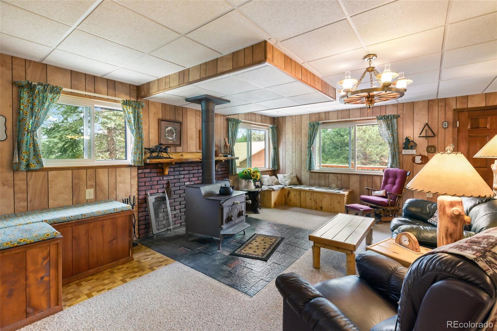 MLS Image #2 for 215  valley drive,lake george, Colorado