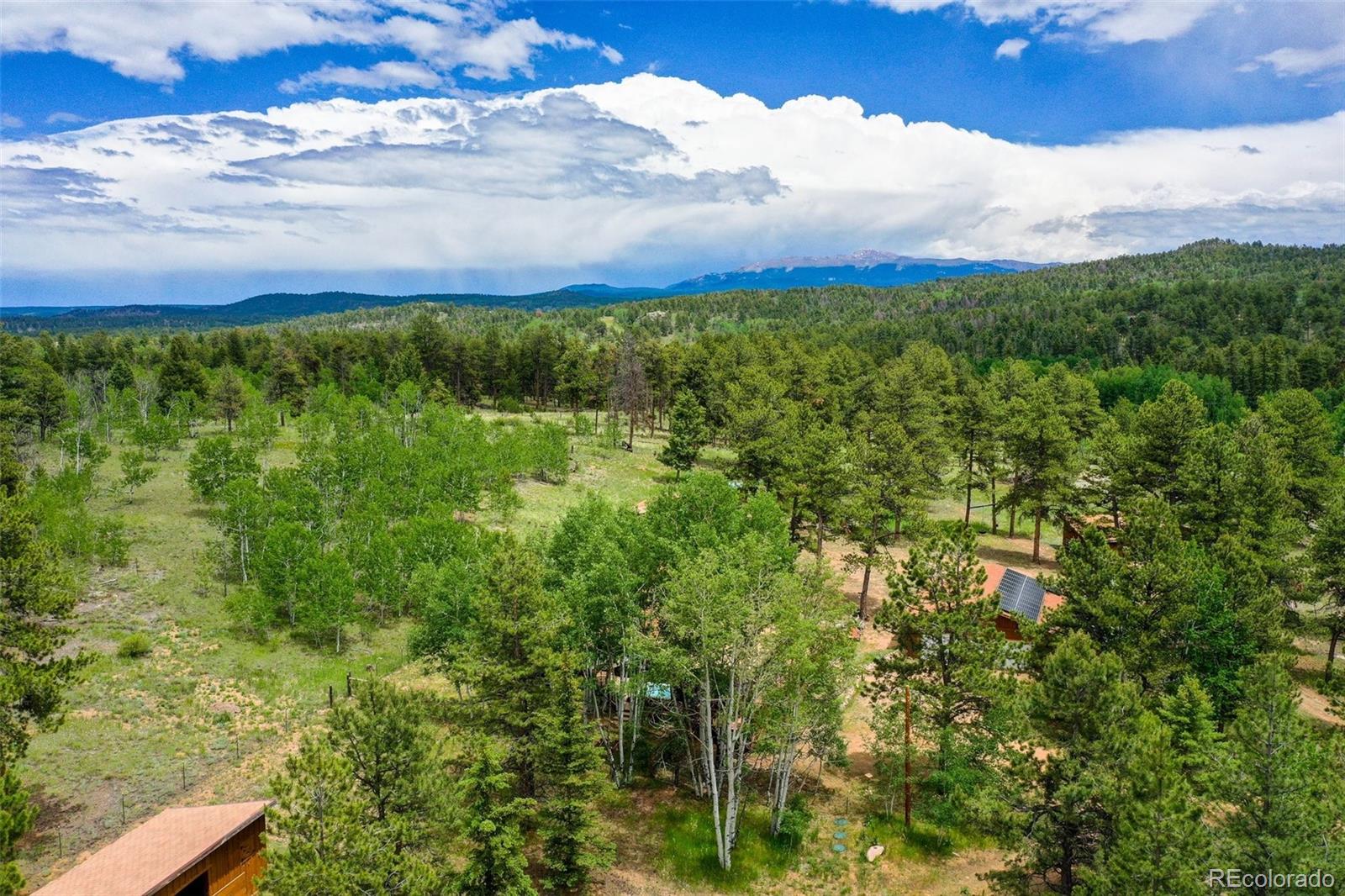 MLS Image #32 for 215  valley drive,lake george, Colorado