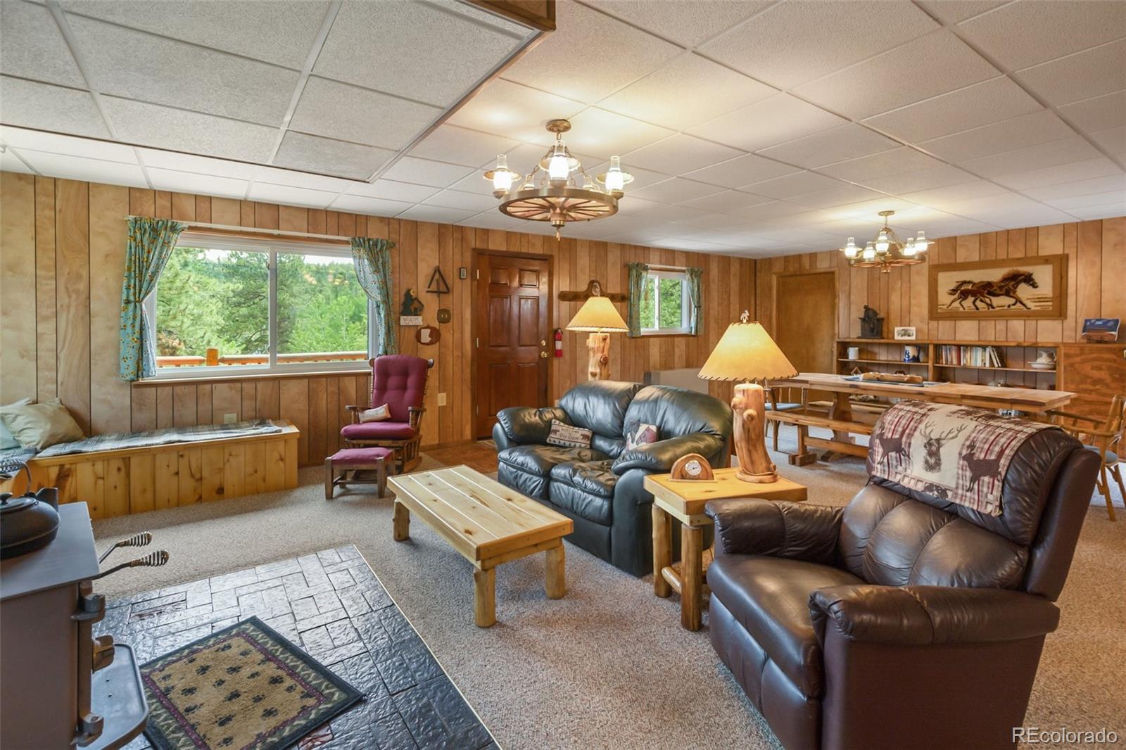 MLS Image #4 for 215  valley drive,lake george, Colorado