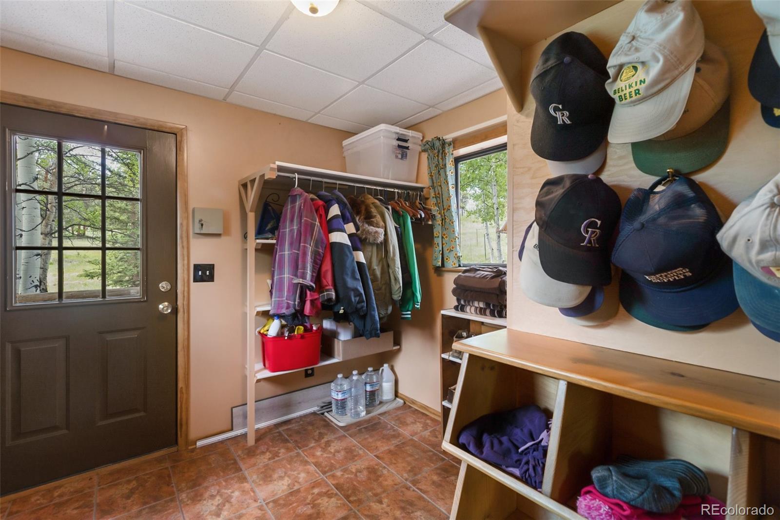 MLS Image #7 for 215  valley drive,lake george, Colorado