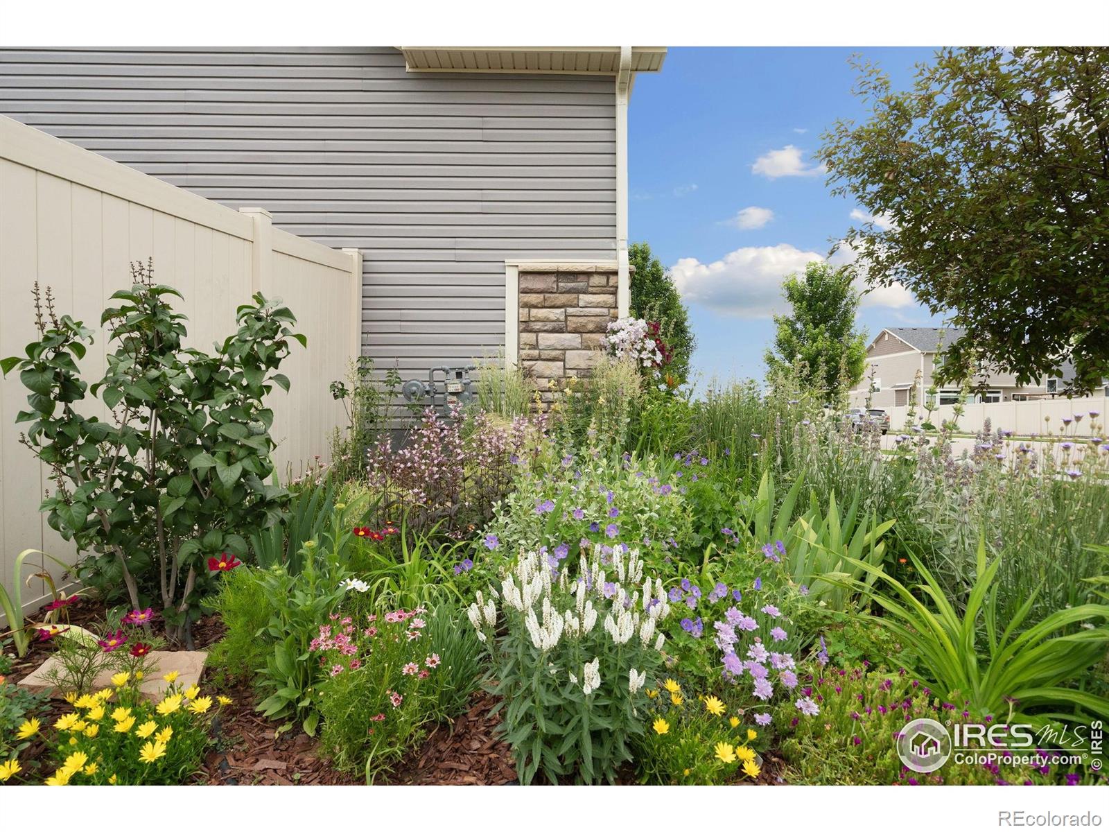 MLS Image #3 for 4107  greenwood lane,johnstown, Colorado