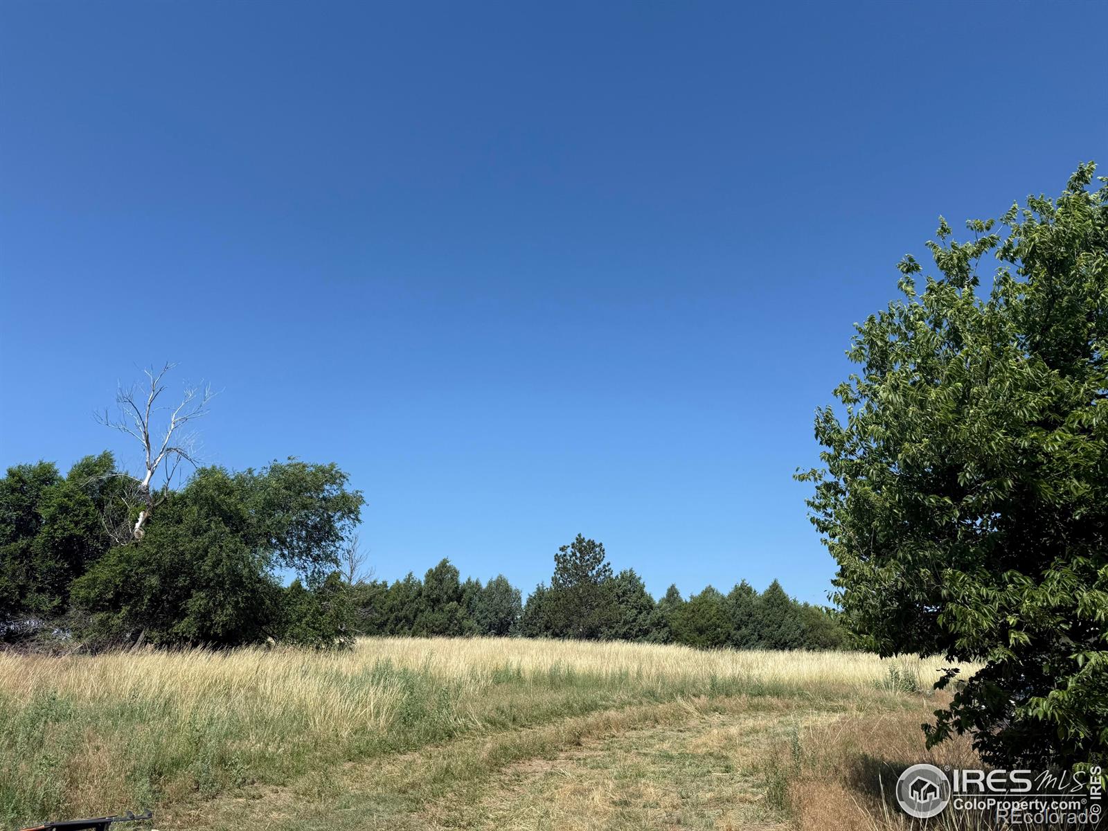 MLS Image #10 for 22400  county road 40 ,wray, Colorado