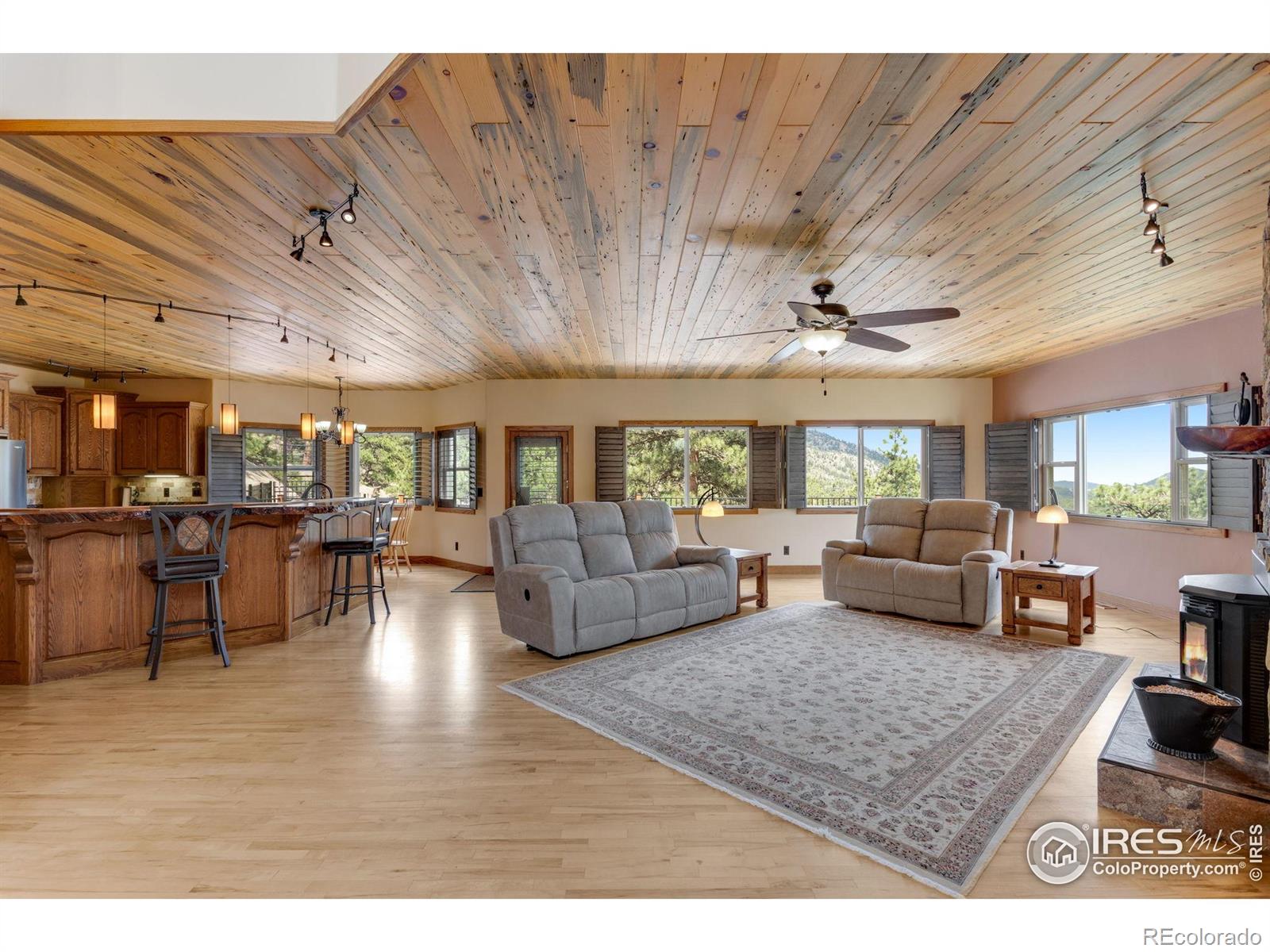 MLS Image #15 for 60  chieftain court,lyons, Colorado