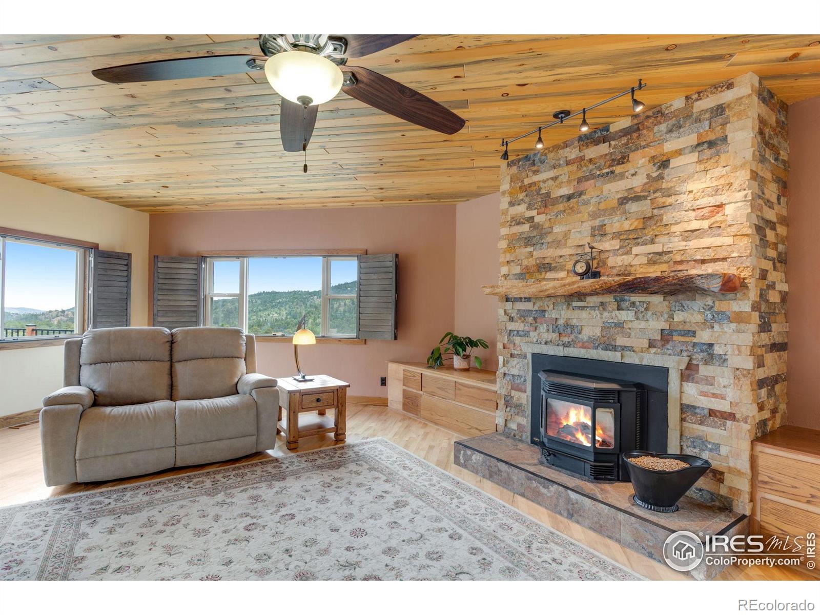 MLS Image #16 for 60  chieftain court,lyons, Colorado