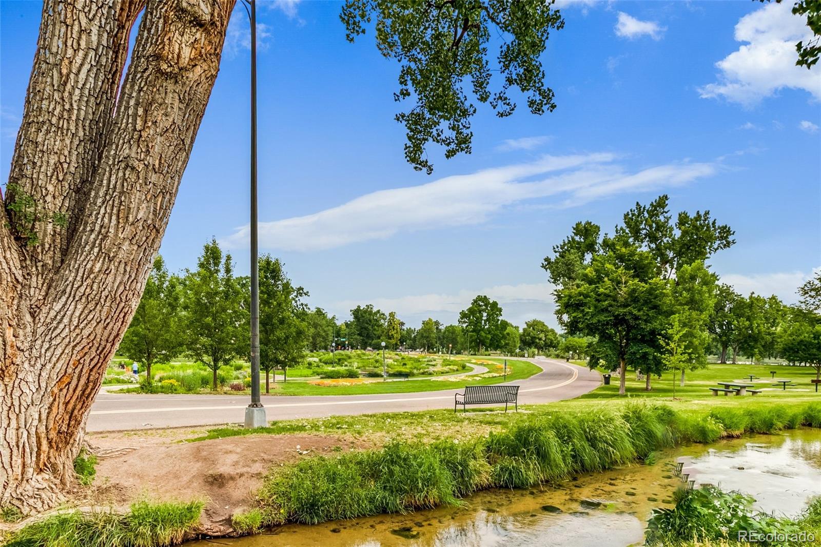 MLS Image #44 for 840 s corona street,denver, Colorado