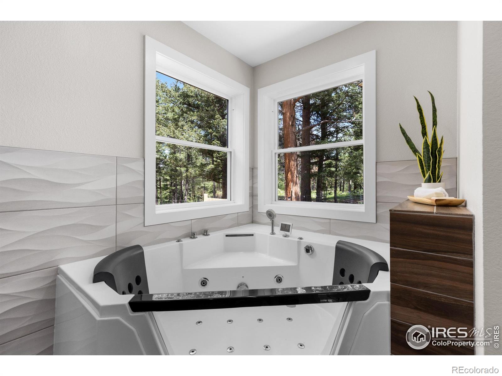 MLS Image #11 for 3333  rockwood lane,estes park, Colorado