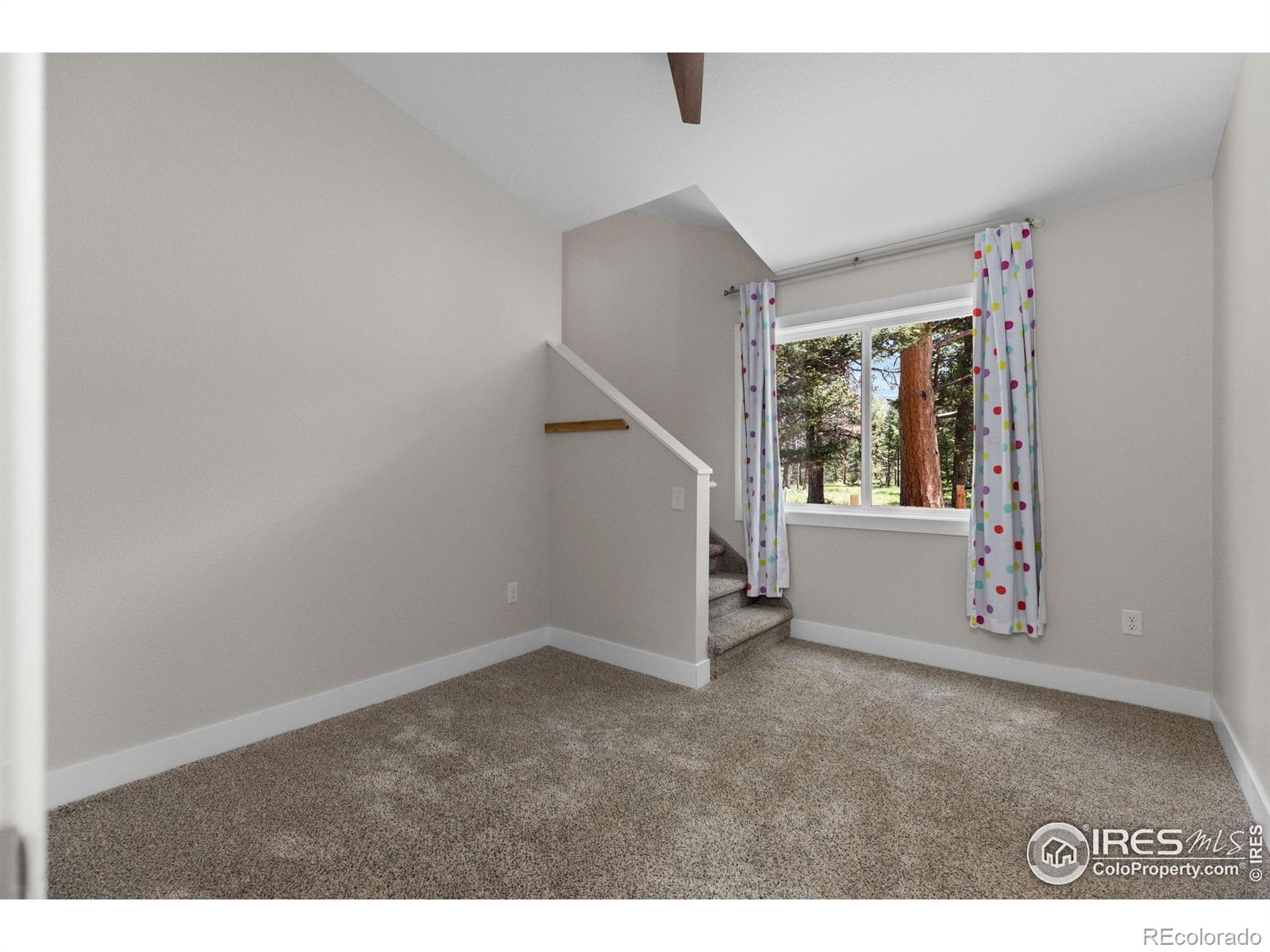 MLS Image #21 for 3333  rockwood lane,estes park, Colorado