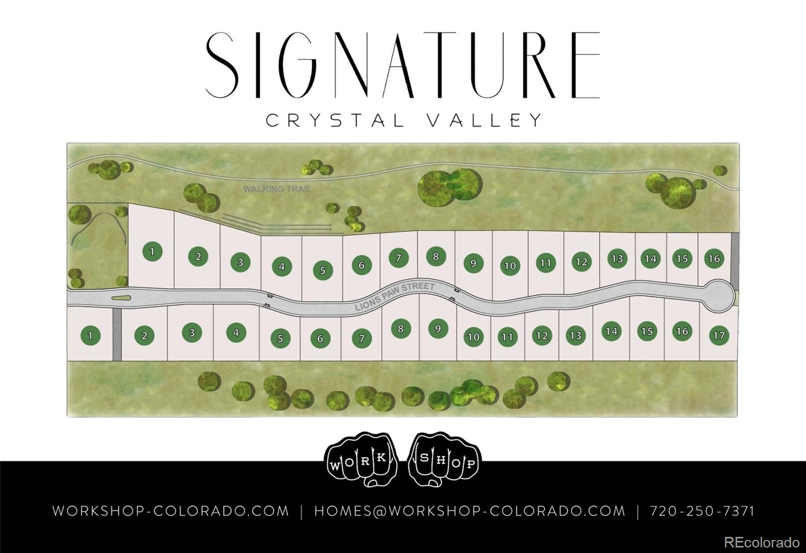 MLS Image #13 for 5292  lions paw street,castle rock, Colorado