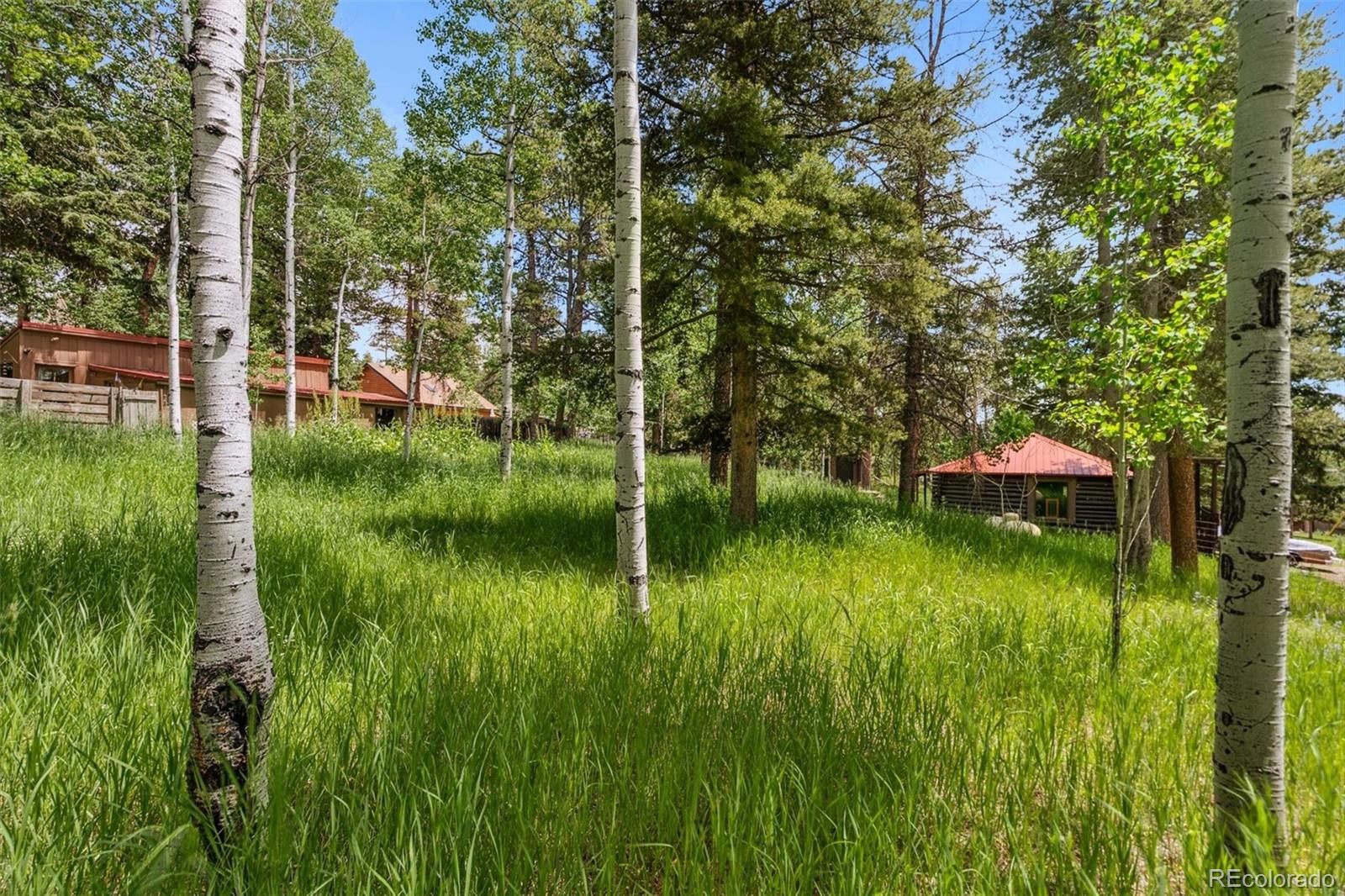 MLS Image #42 for 10993  barker avenue,conifer, Colorado