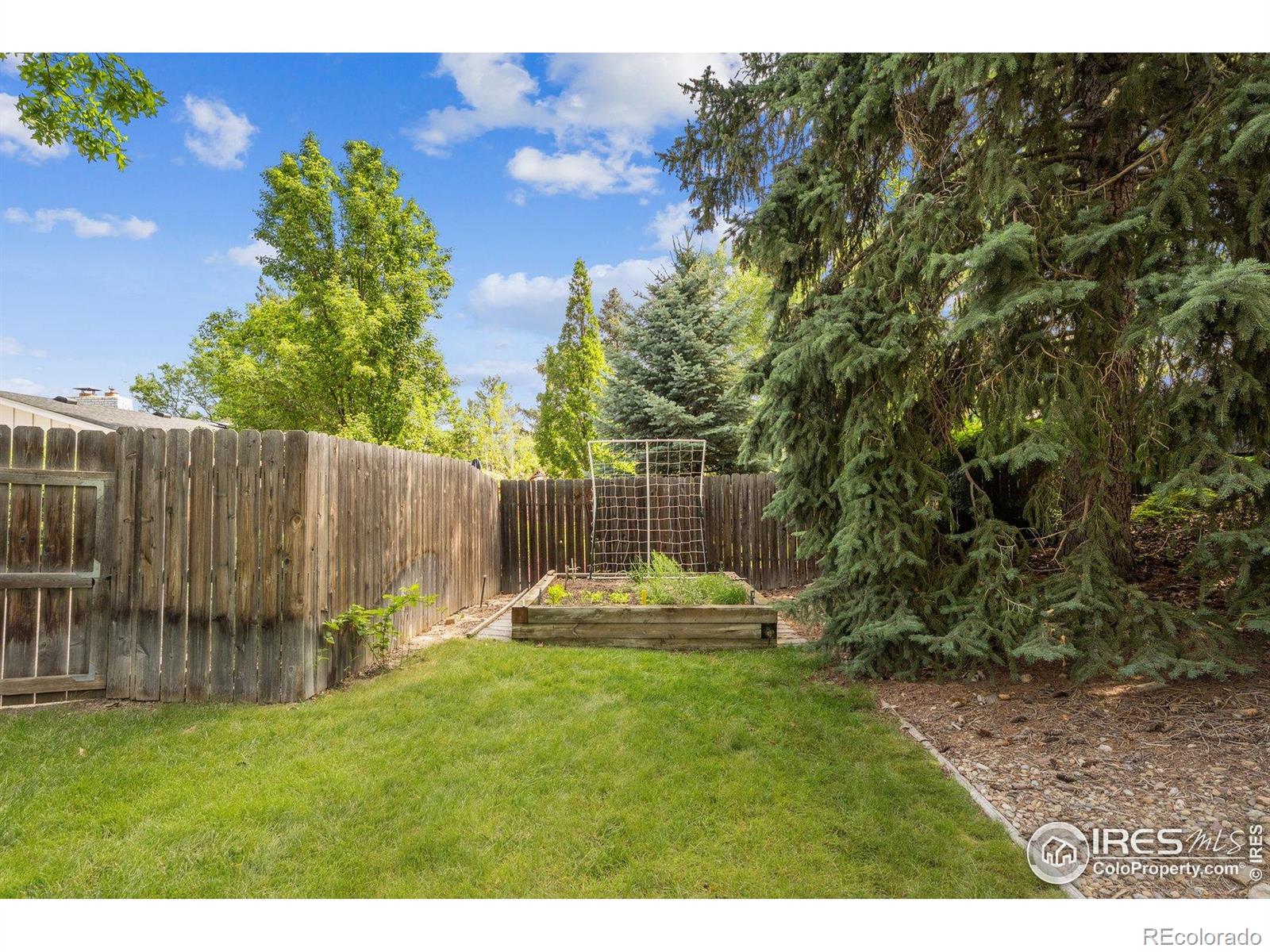 MLS Image #24 for 7290  mount sherman road,longmont, Colorado