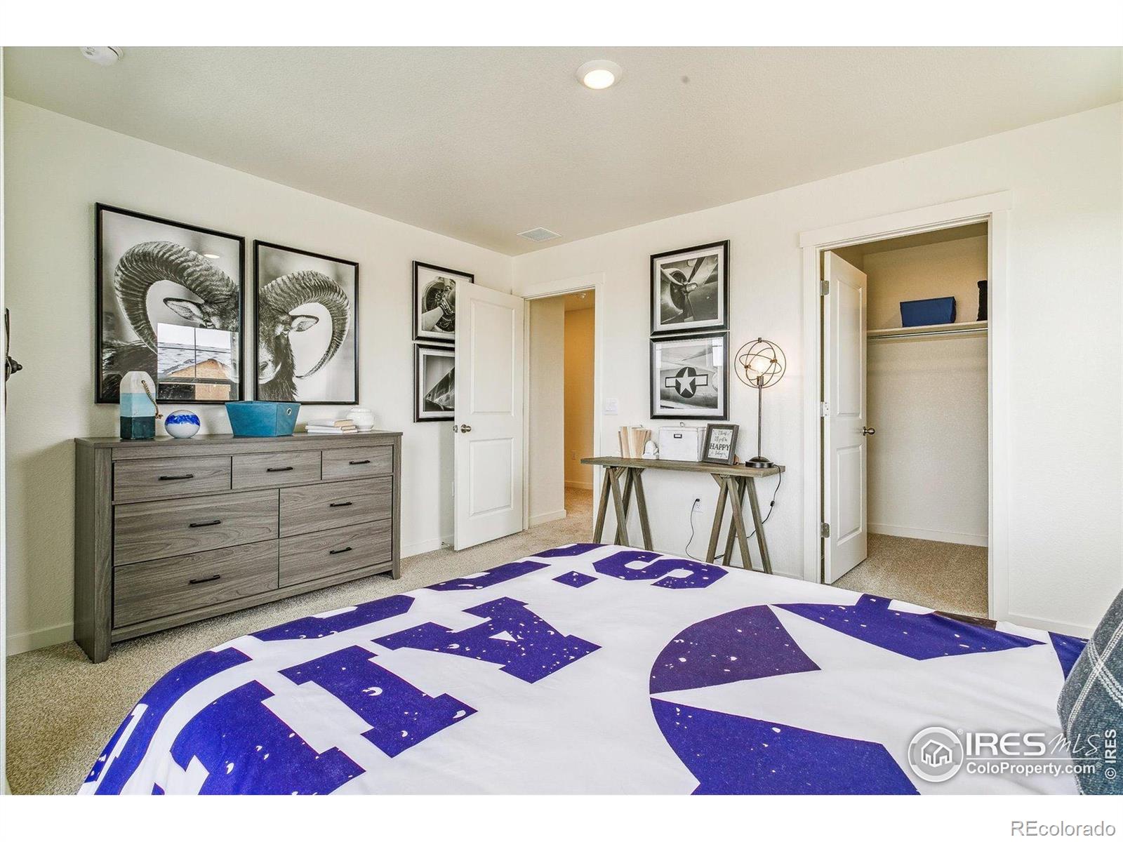 MLS Image #20 for 226  chardon avenue,brighton, Colorado