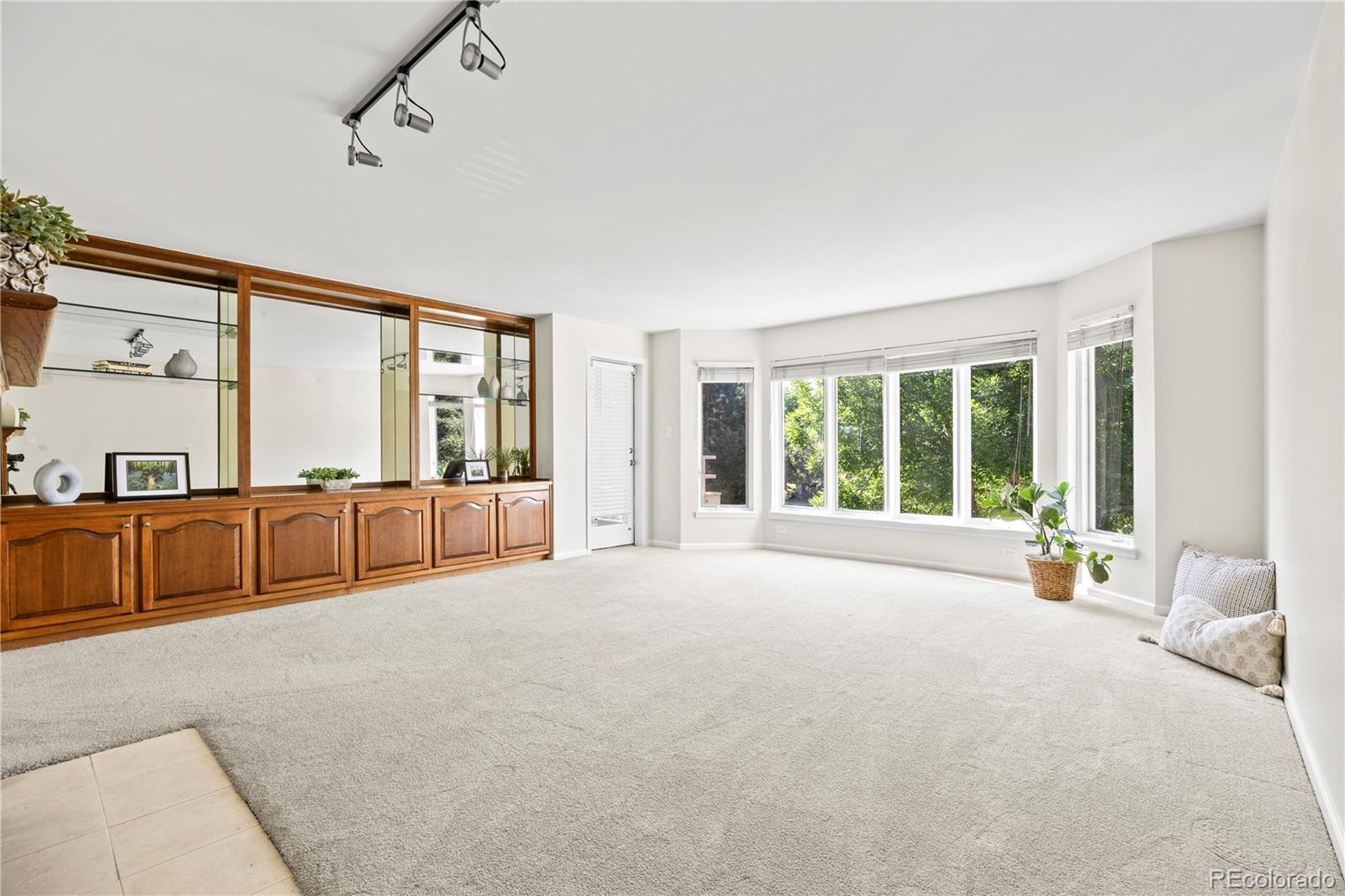 MLS Image #10 for 4605 s s yosemite street,denver, Colorado