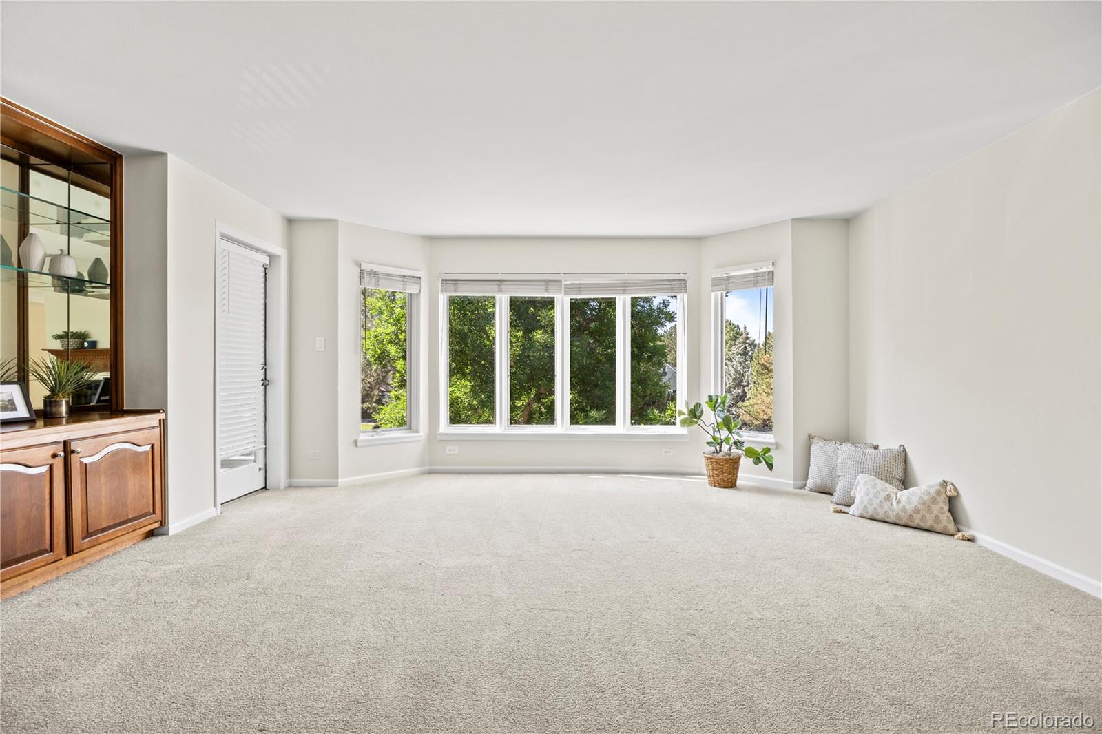 MLS Image #11 for 4605 s s yosemite street,denver, Colorado