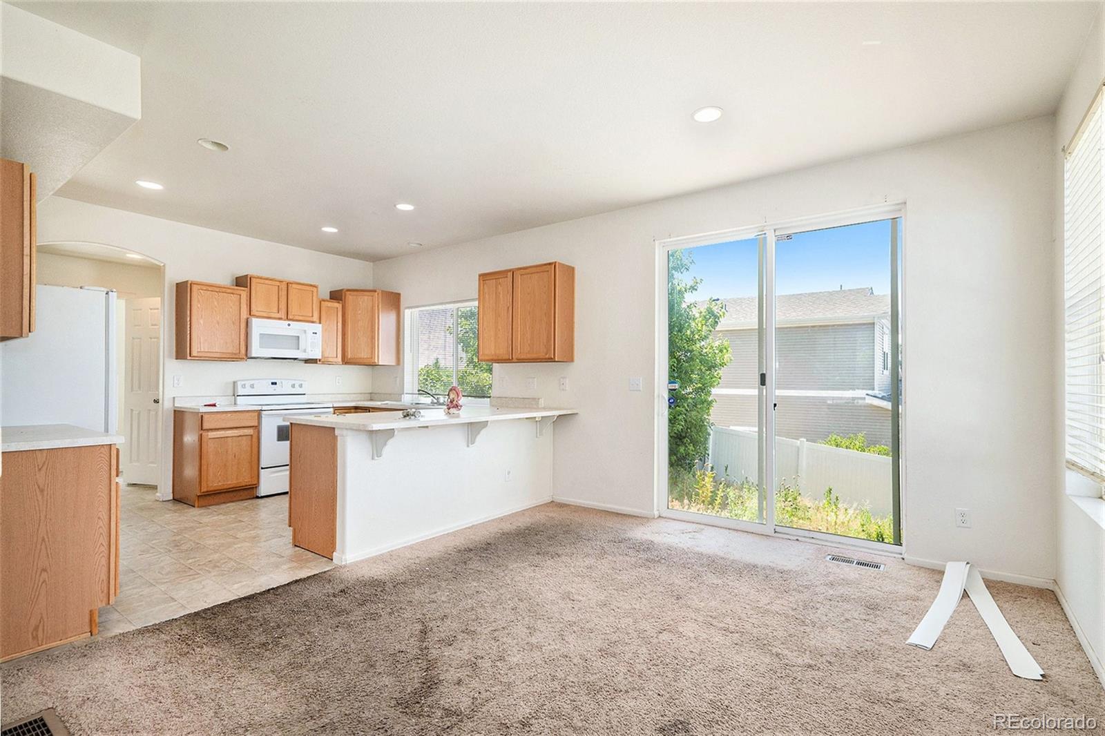 MLS Image #4 for 20108  randolph place,denver, Colorado