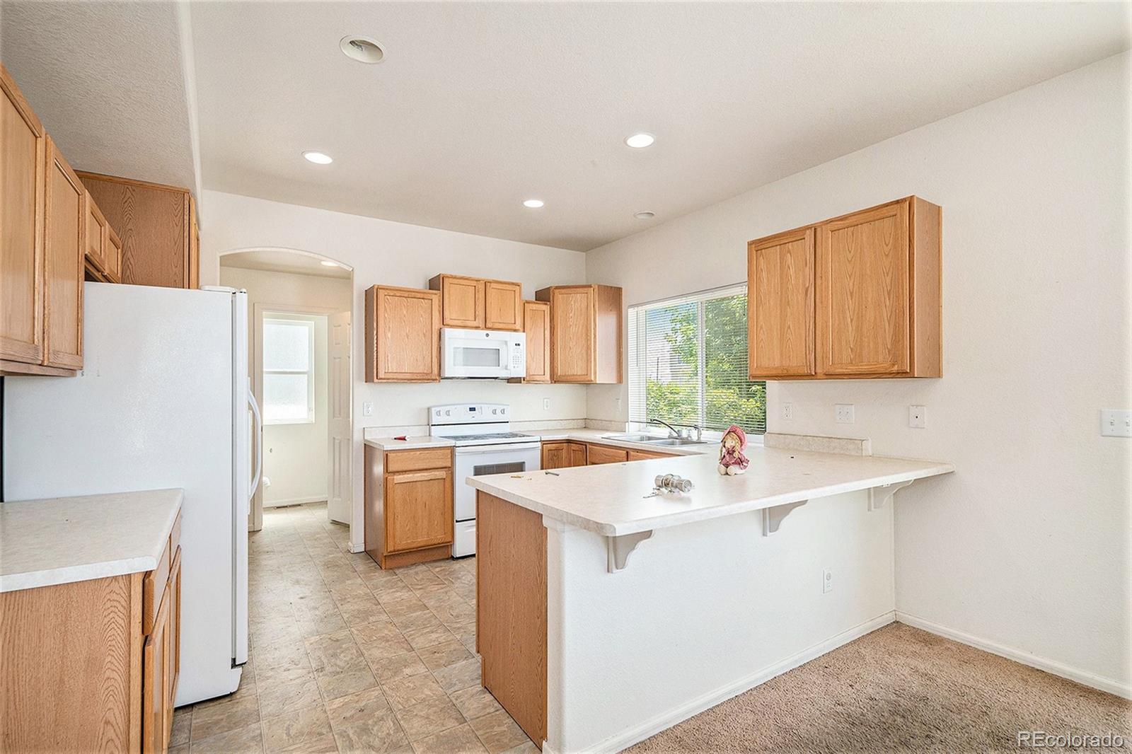 MLS Image #5 for 20108  randolph place,denver, Colorado