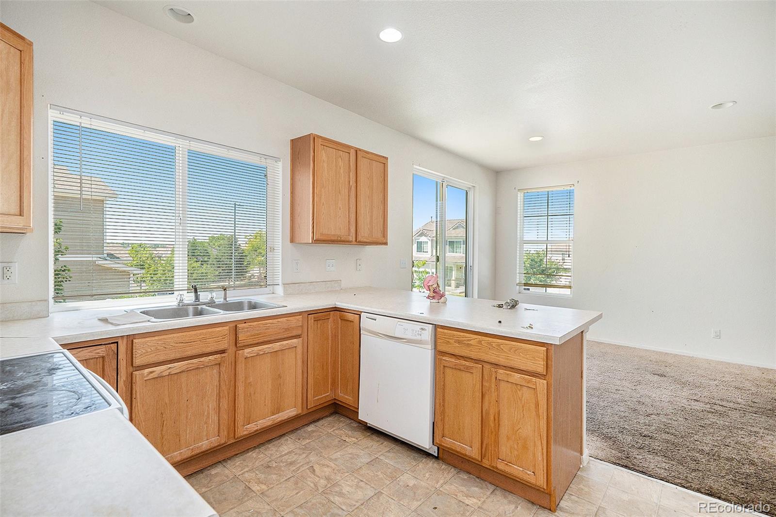 MLS Image #8 for 20108  randolph place,denver, Colorado