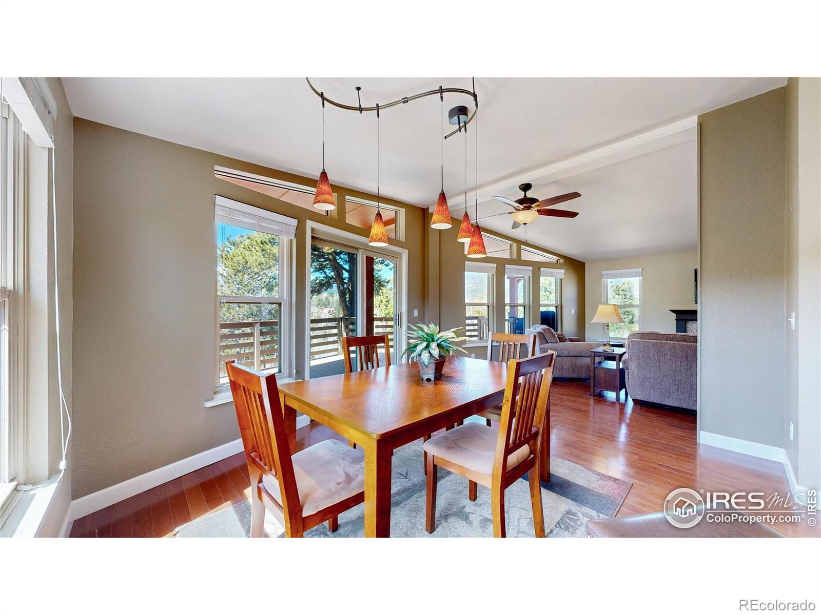 MLS Image #10 for 53  obrien road,bailey, Colorado