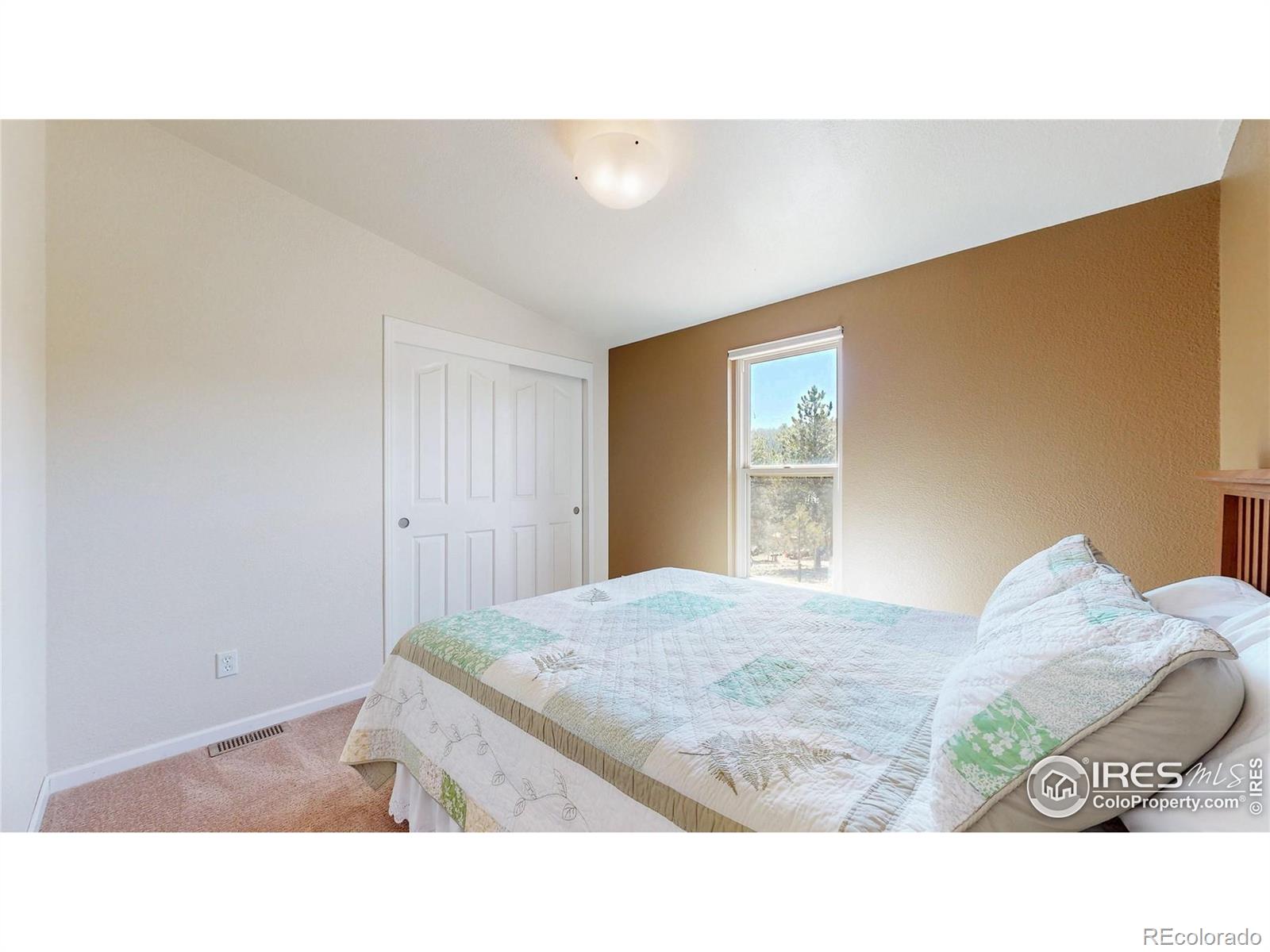 MLS Image #17 for 53  obrien road,bailey, Colorado