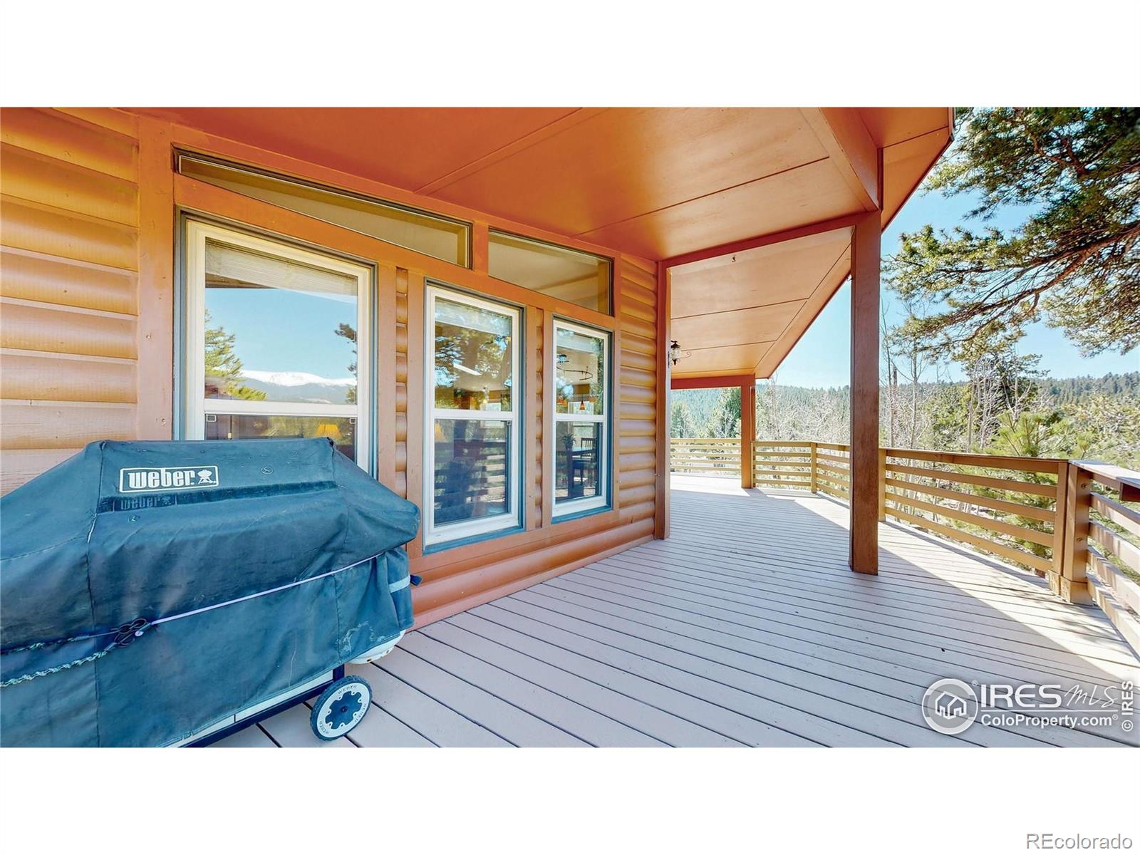 MLS Image #29 for 53  obrien road,bailey, Colorado