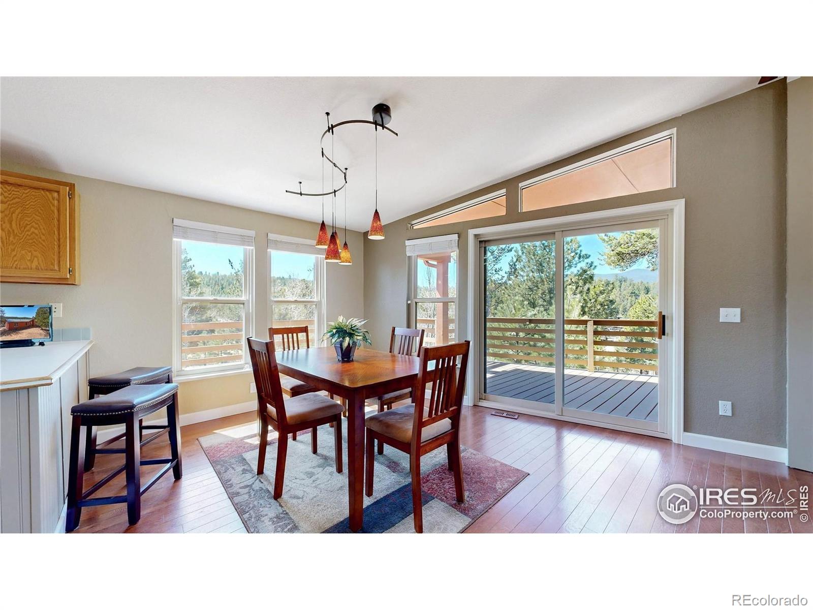 MLS Image #9 for 53  obrien road,bailey, Colorado