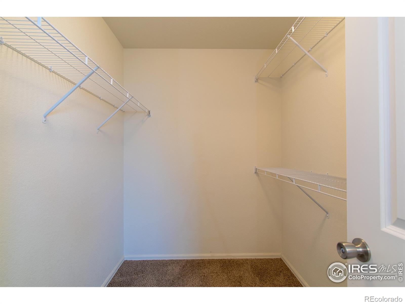 MLS Image #14 for 911  mt shavano avenue,severance, Colorado
