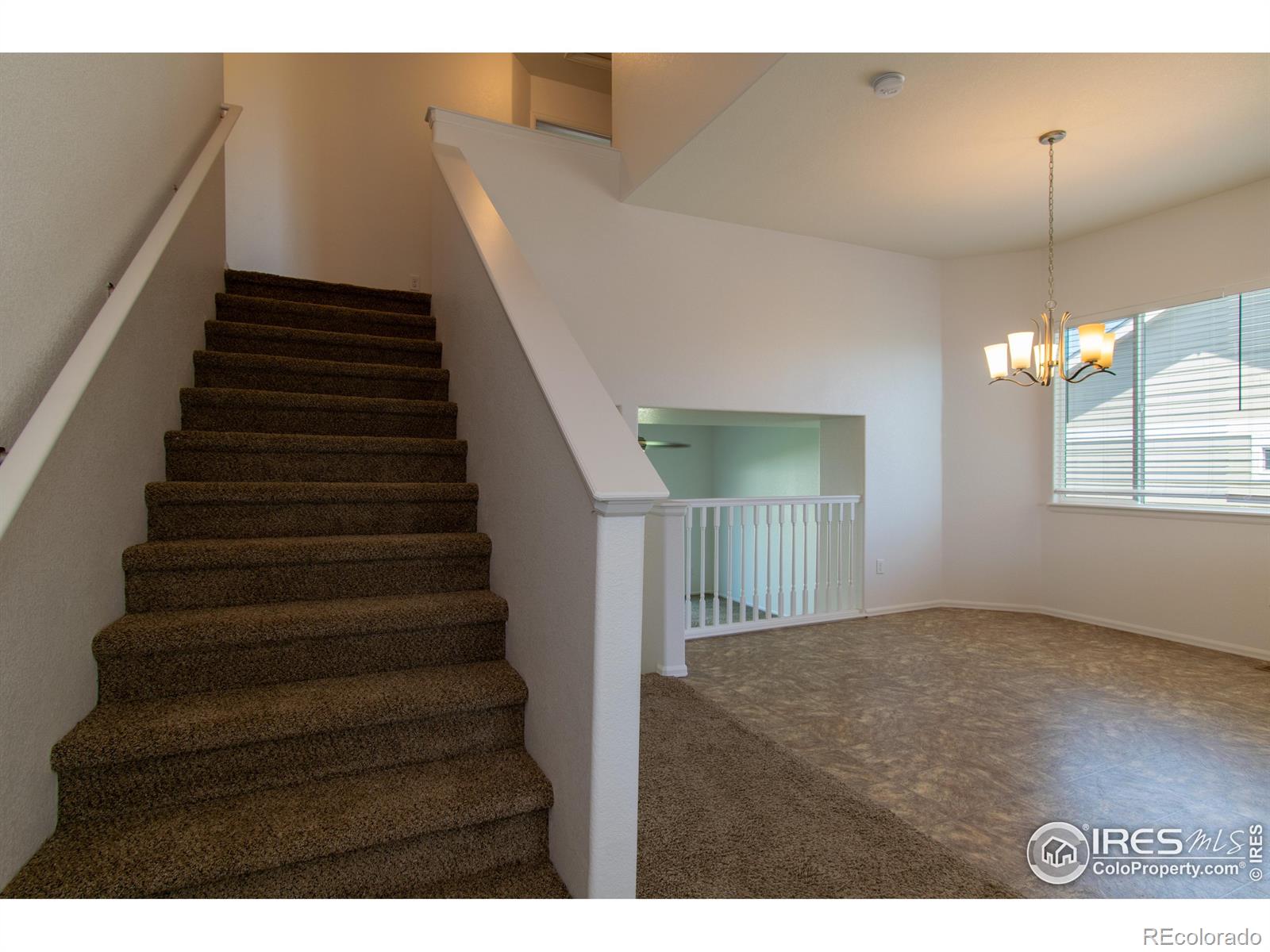 MLS Image #4 for 911  mt shavano avenue,severance, Colorado