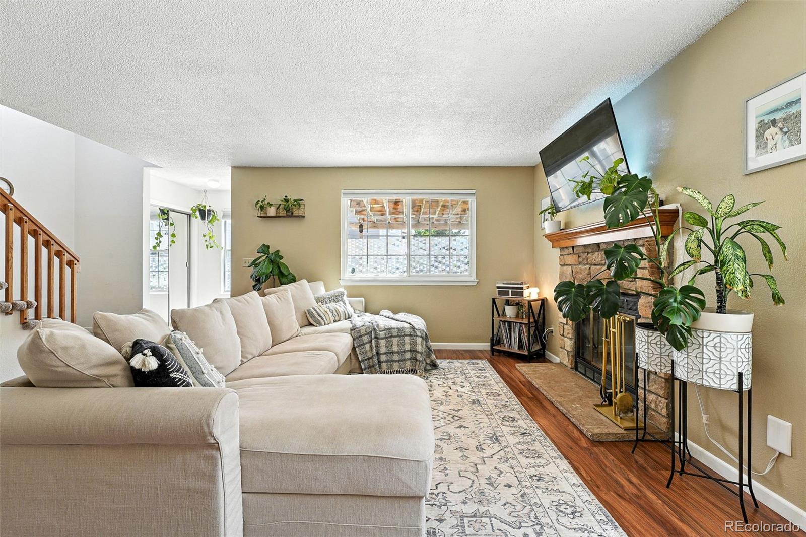 MLS Image #6 for 8422  everett way,arvada, Colorado