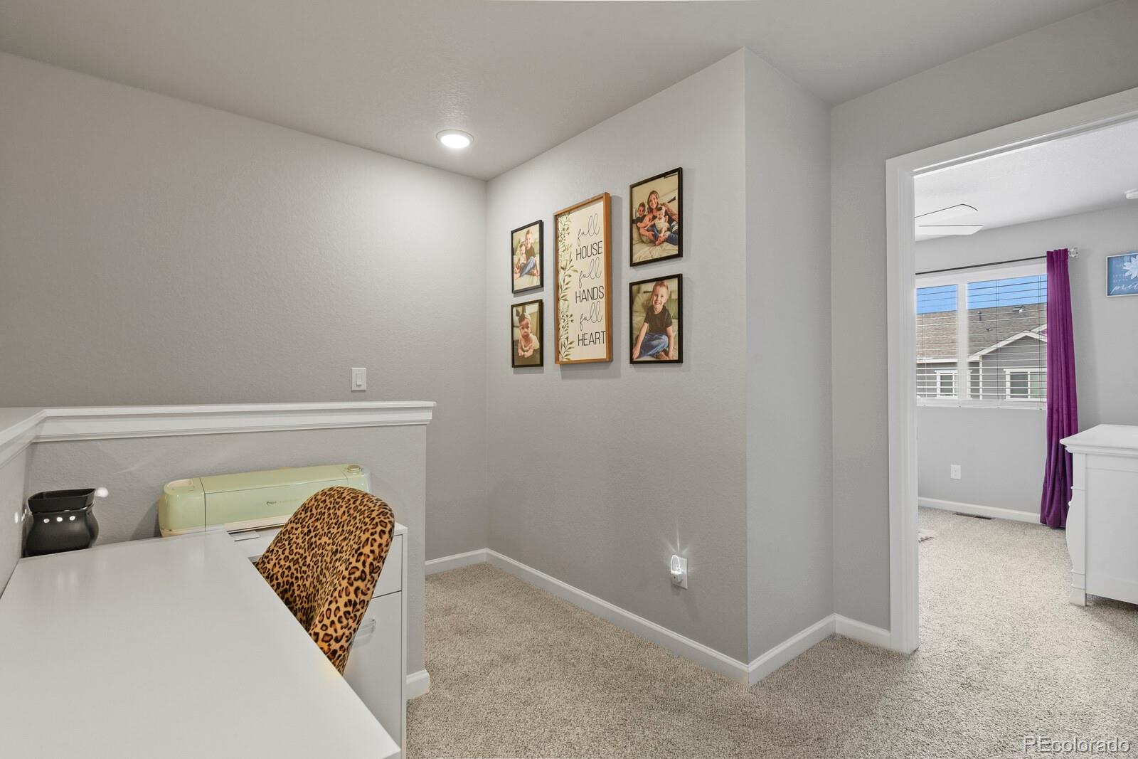 MLS Image #18 for 8765  laurel mountain view,colorado springs, Colorado