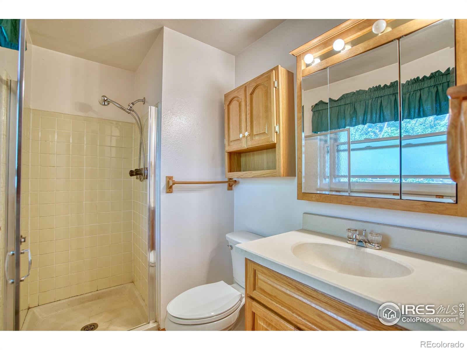 MLS Image #11 for 1209 s terry street,longmont, Colorado