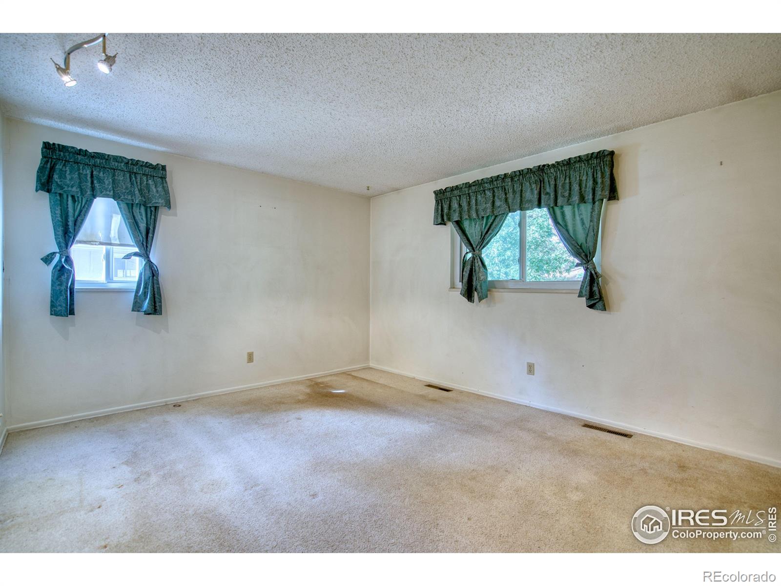 MLS Image #12 for 1209 s terry street,longmont, Colorado