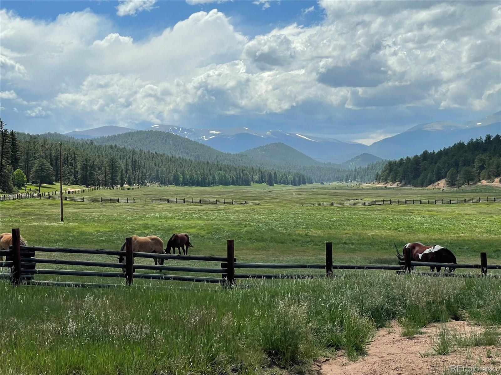 MLS Image #45 for 515  lionsbrooke lane,pine, Colorado
