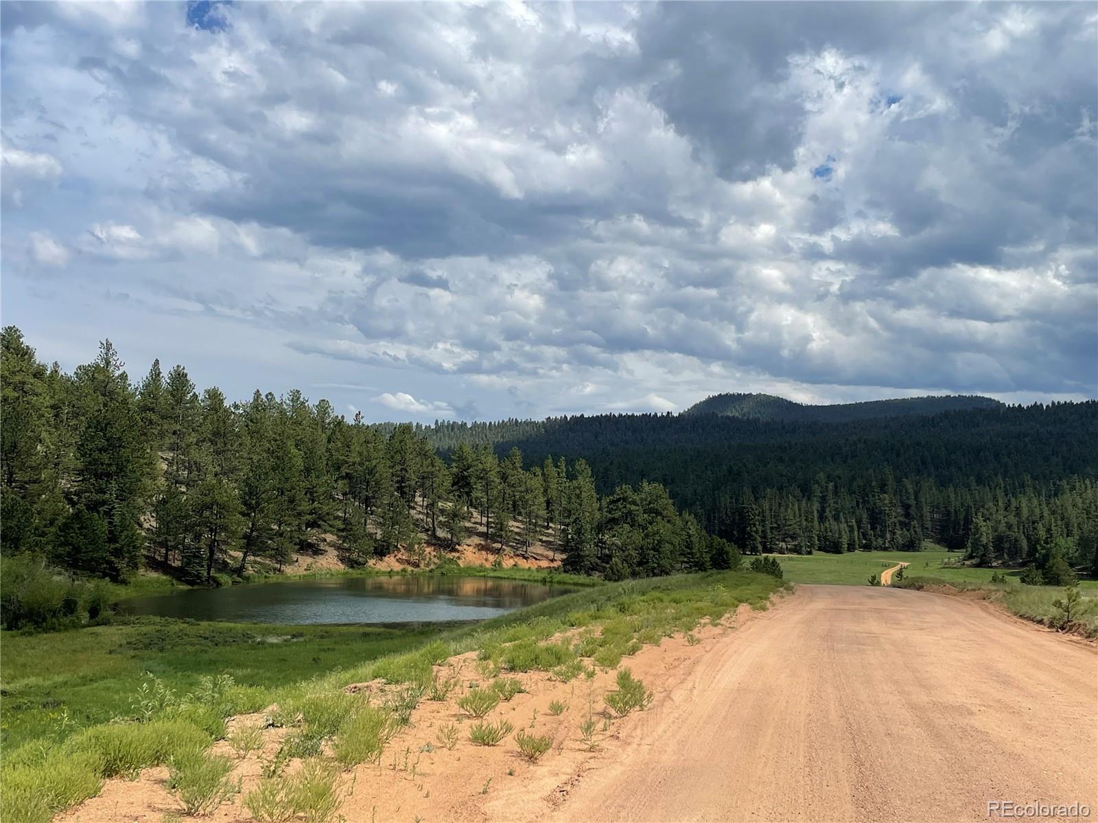 MLS Image #47 for 515  lionsbrooke lane,pine, Colorado