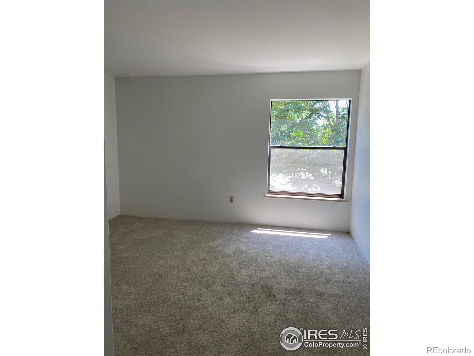 MLS Image #5 for 2227  canyon boulevard,boulder, Colorado