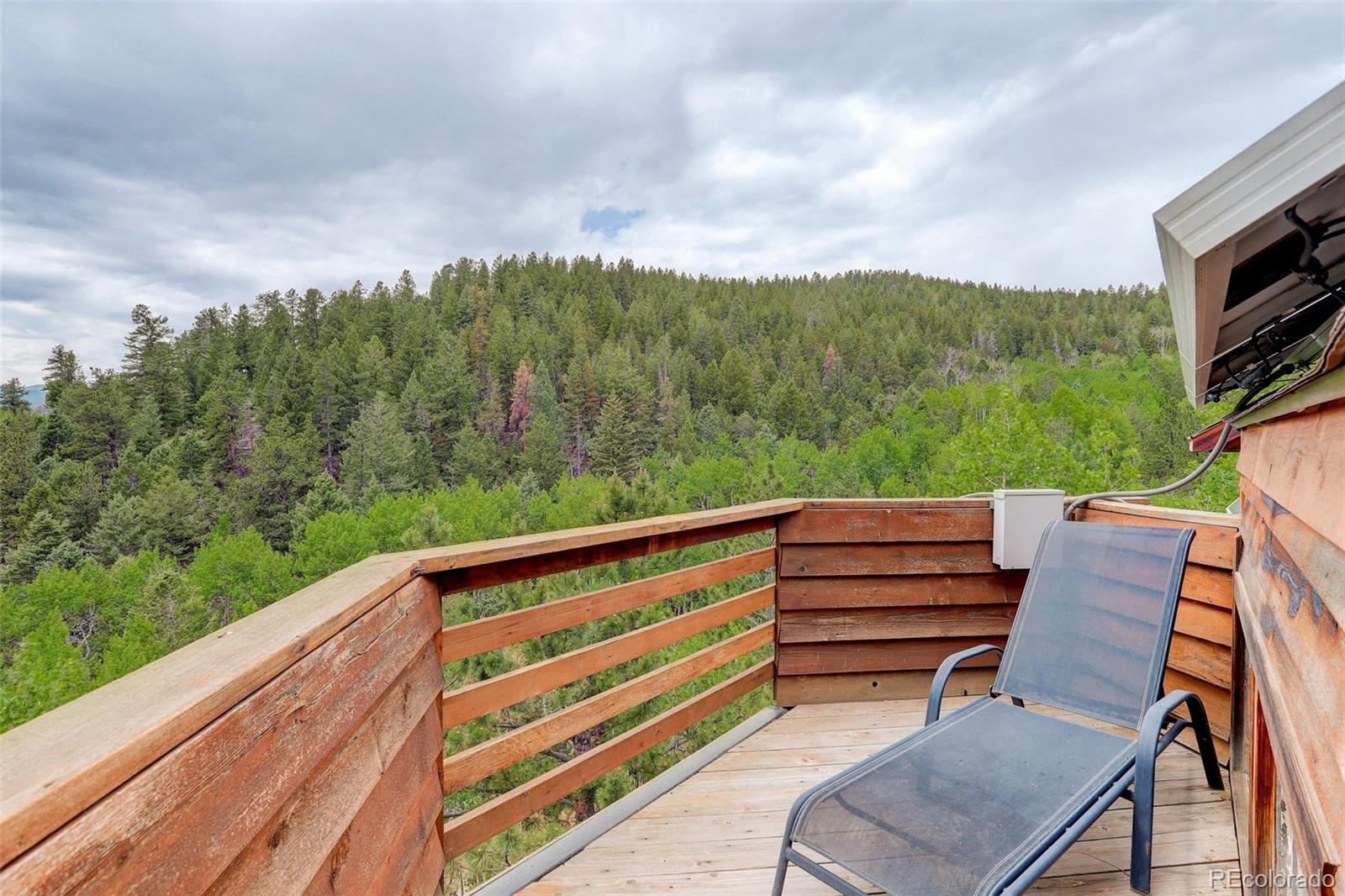 MLS Image #21 for 1575  york gulch road,idaho springs, Colorado