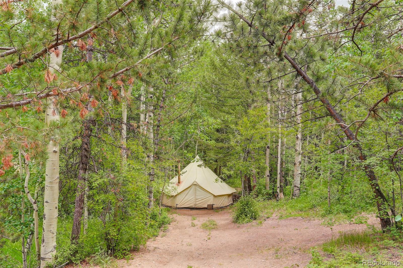 MLS Image #42 for 1575  york gulch road,idaho springs, Colorado