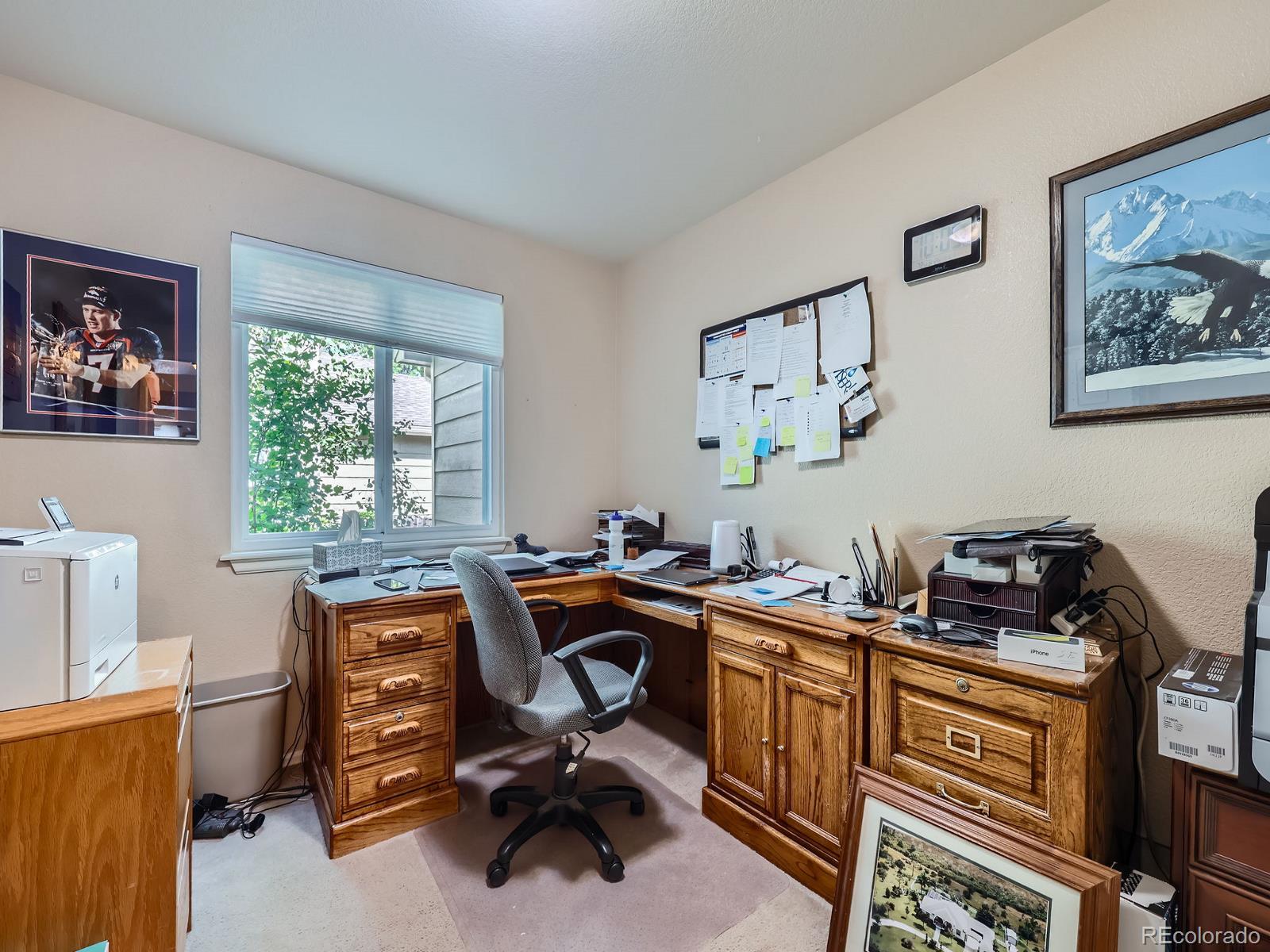 MLS Image #19 for 3859  rawhide circle,castle rock, Colorado
