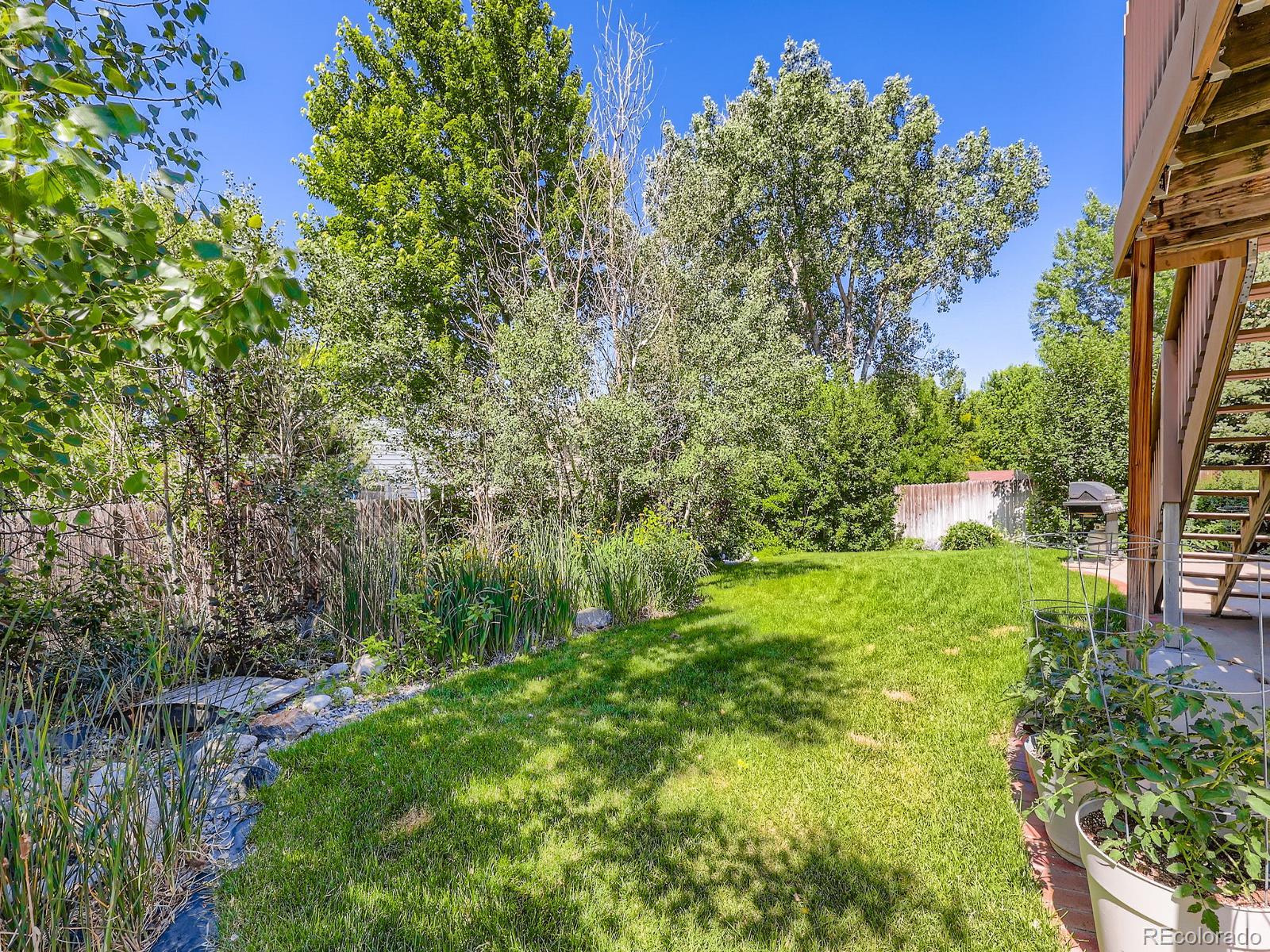 MLS Image #23 for 3859  rawhide circle,castle rock, Colorado