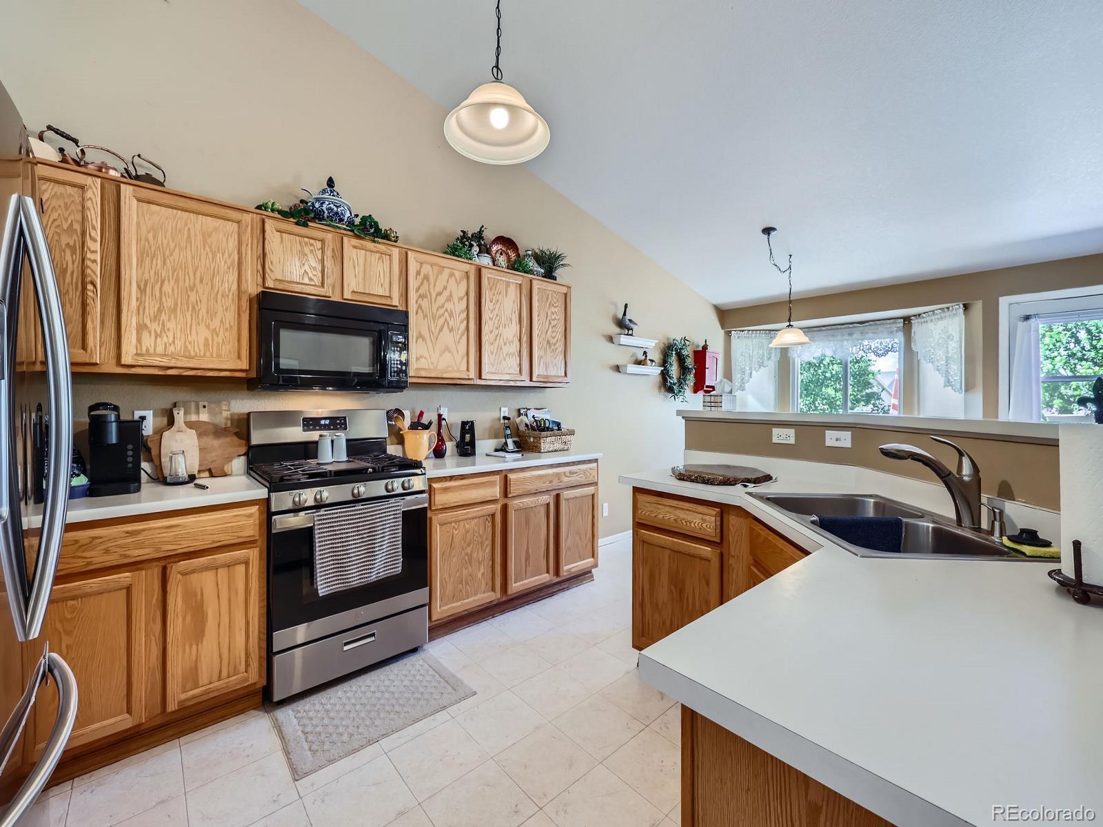 MLS Image #3 for 3859  rawhide circle,castle rock, Colorado