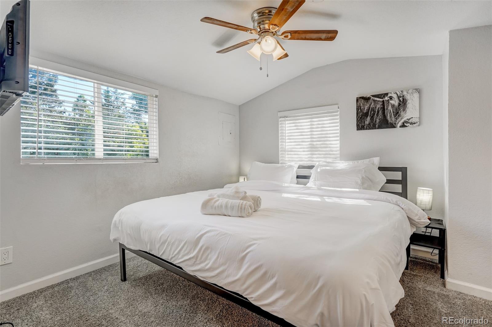 MLS Image #36 for 111 n 14 th street,colorado springs, Colorado